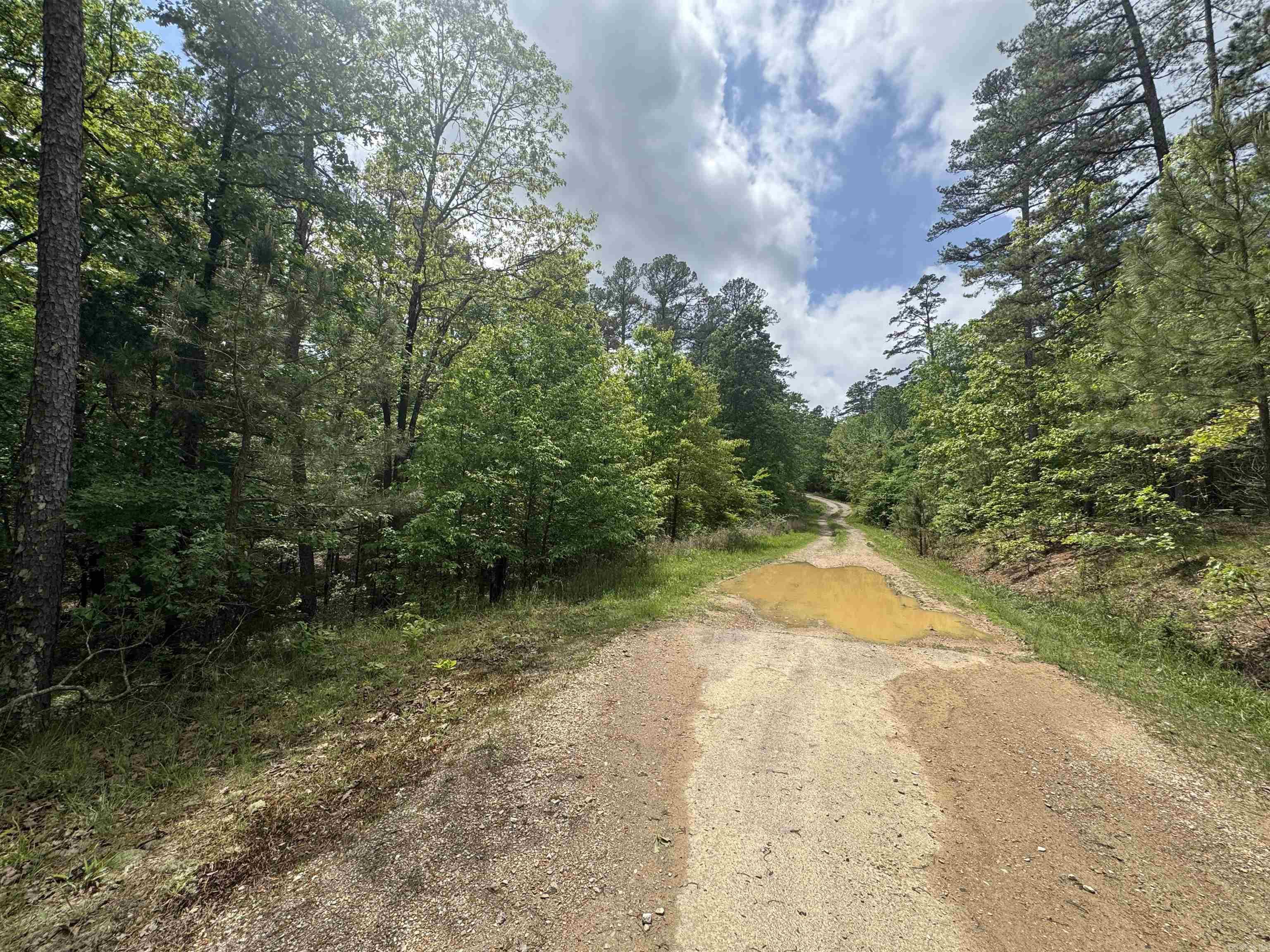 00 Debutar  Hot Springs Village, AR