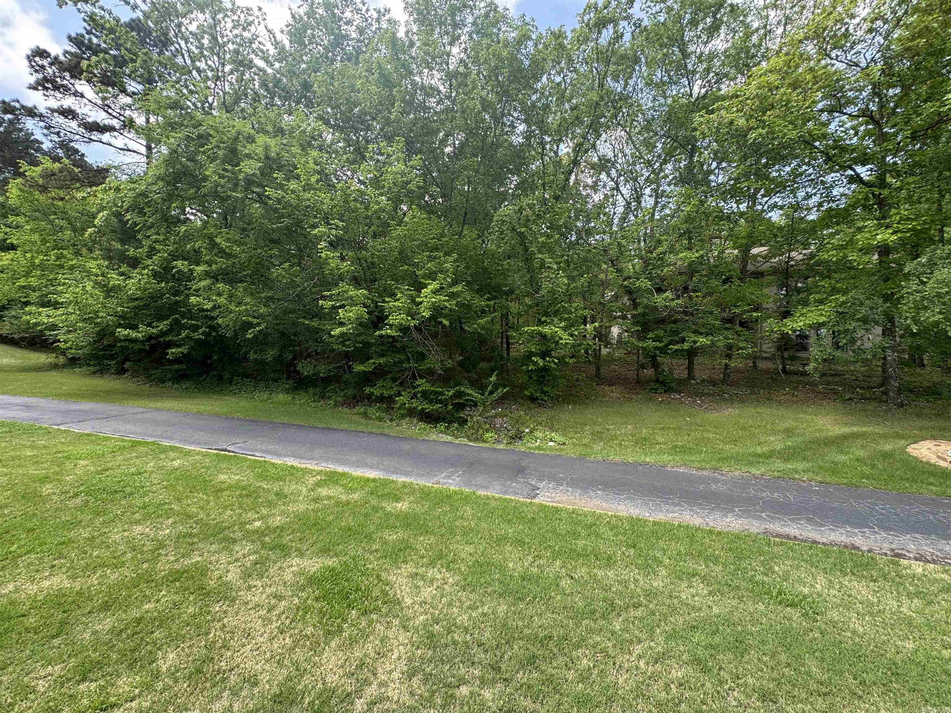 00 Debutar  Hot Springs Village, AR