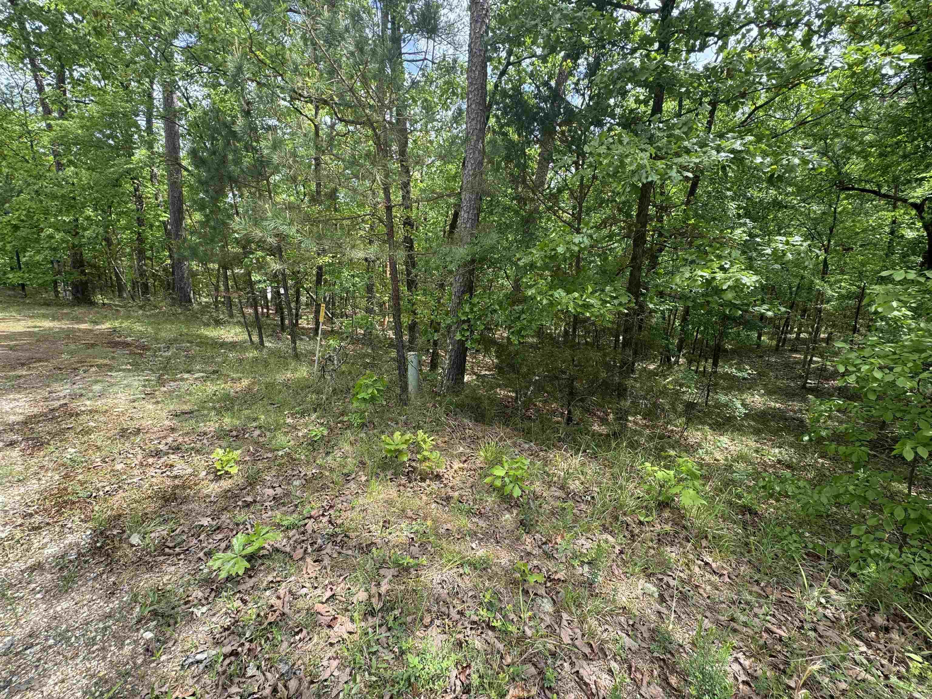 00 Debutar  Hot Springs Village, AR