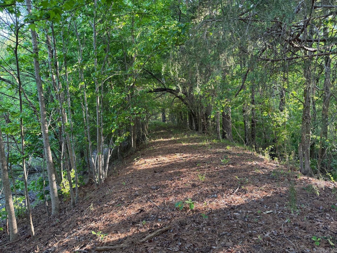 4821 Alf  Little Rock, AR