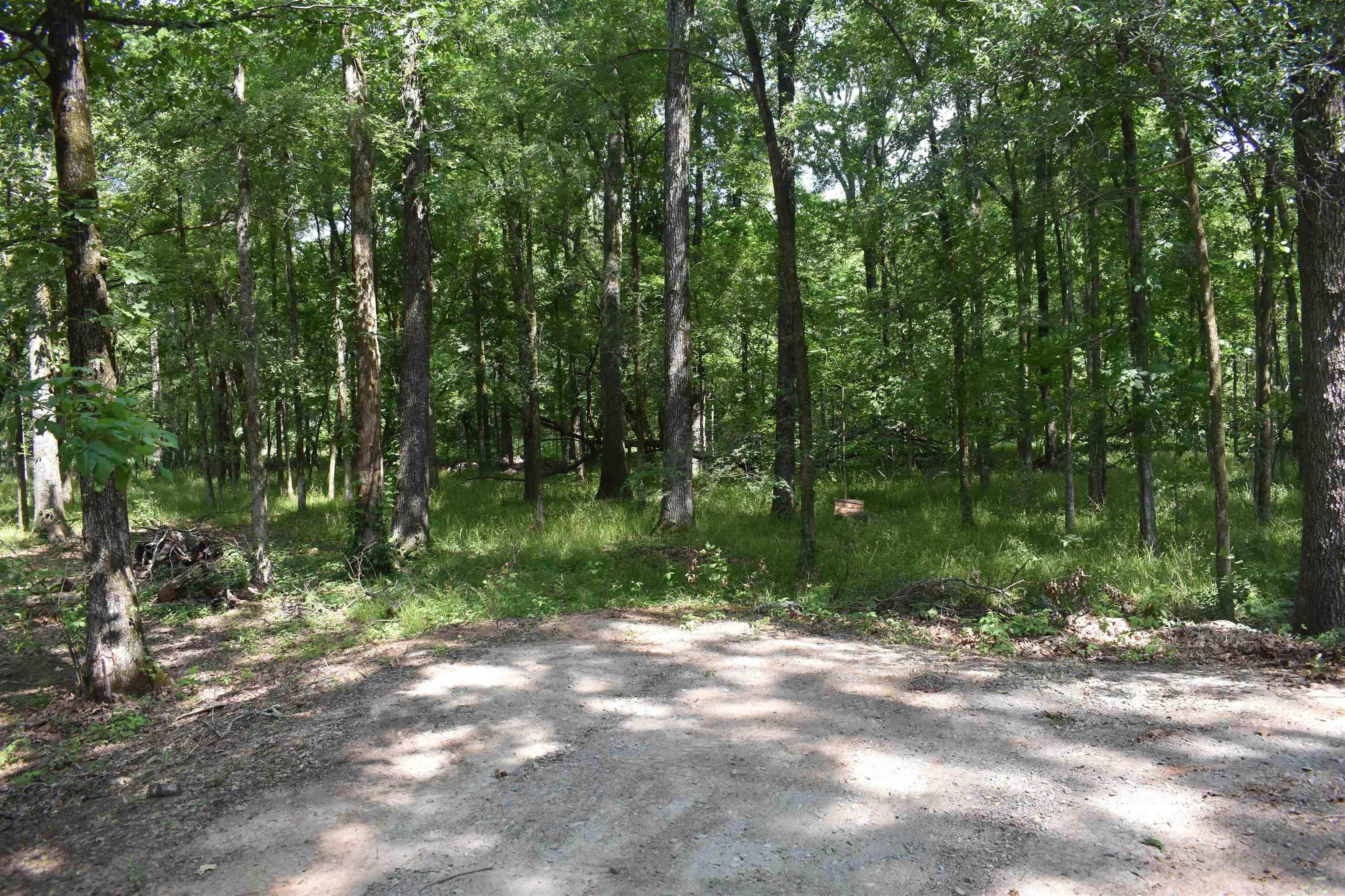 70 Green Head  Altheimer, AR