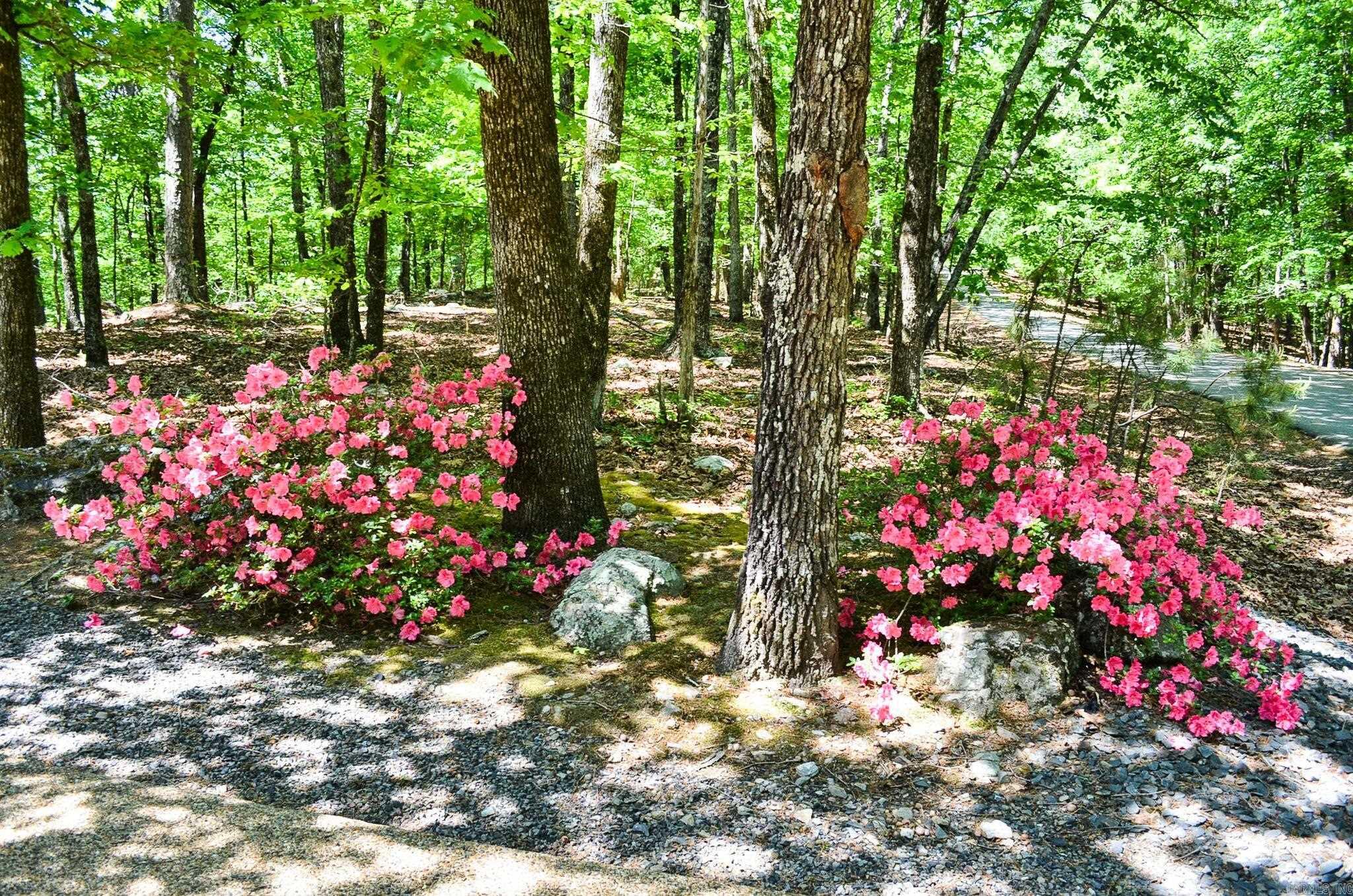 21 Badajoz Way  Hot Springs Village, AR