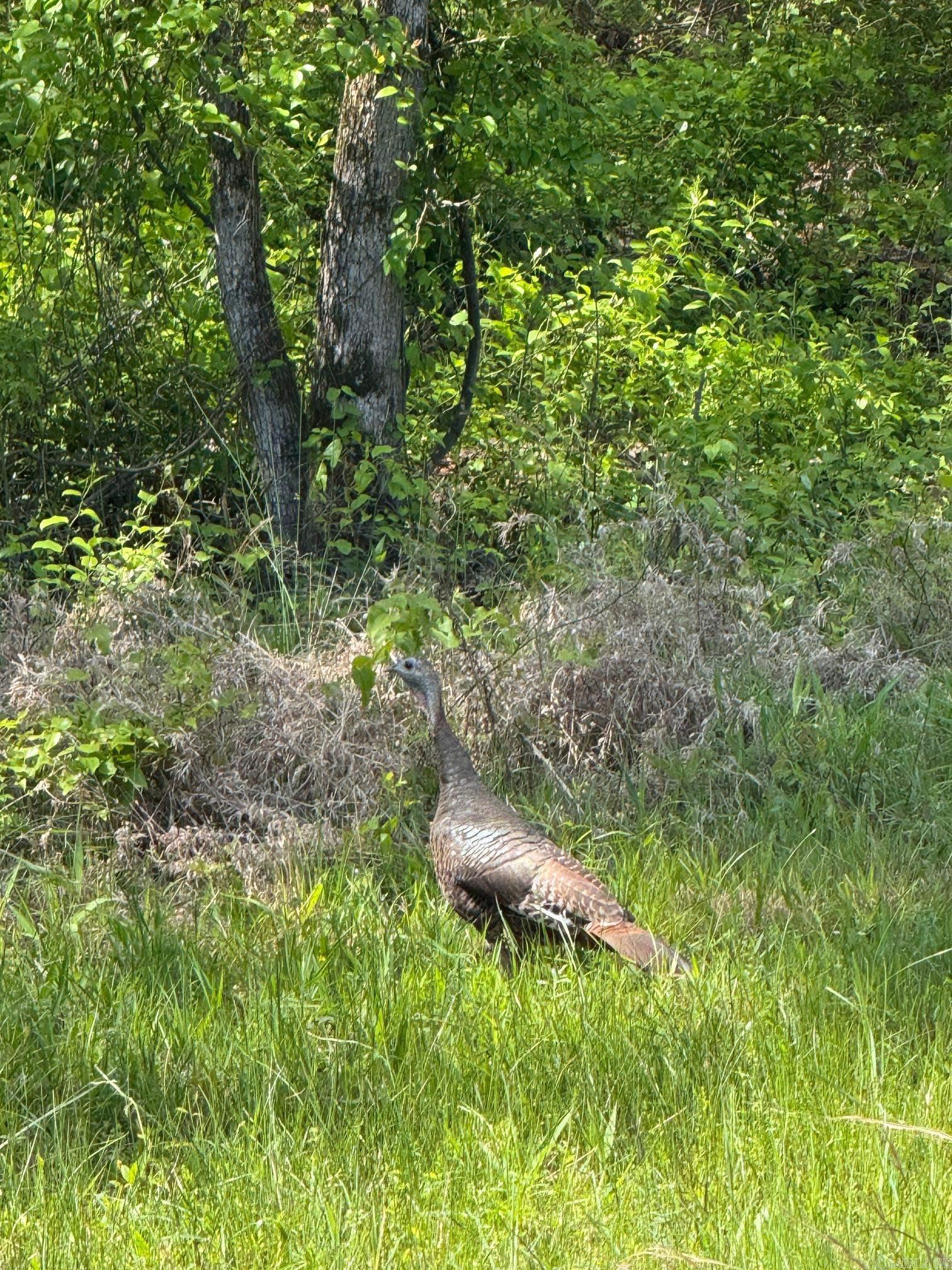 0 Smithers  Paron, AR