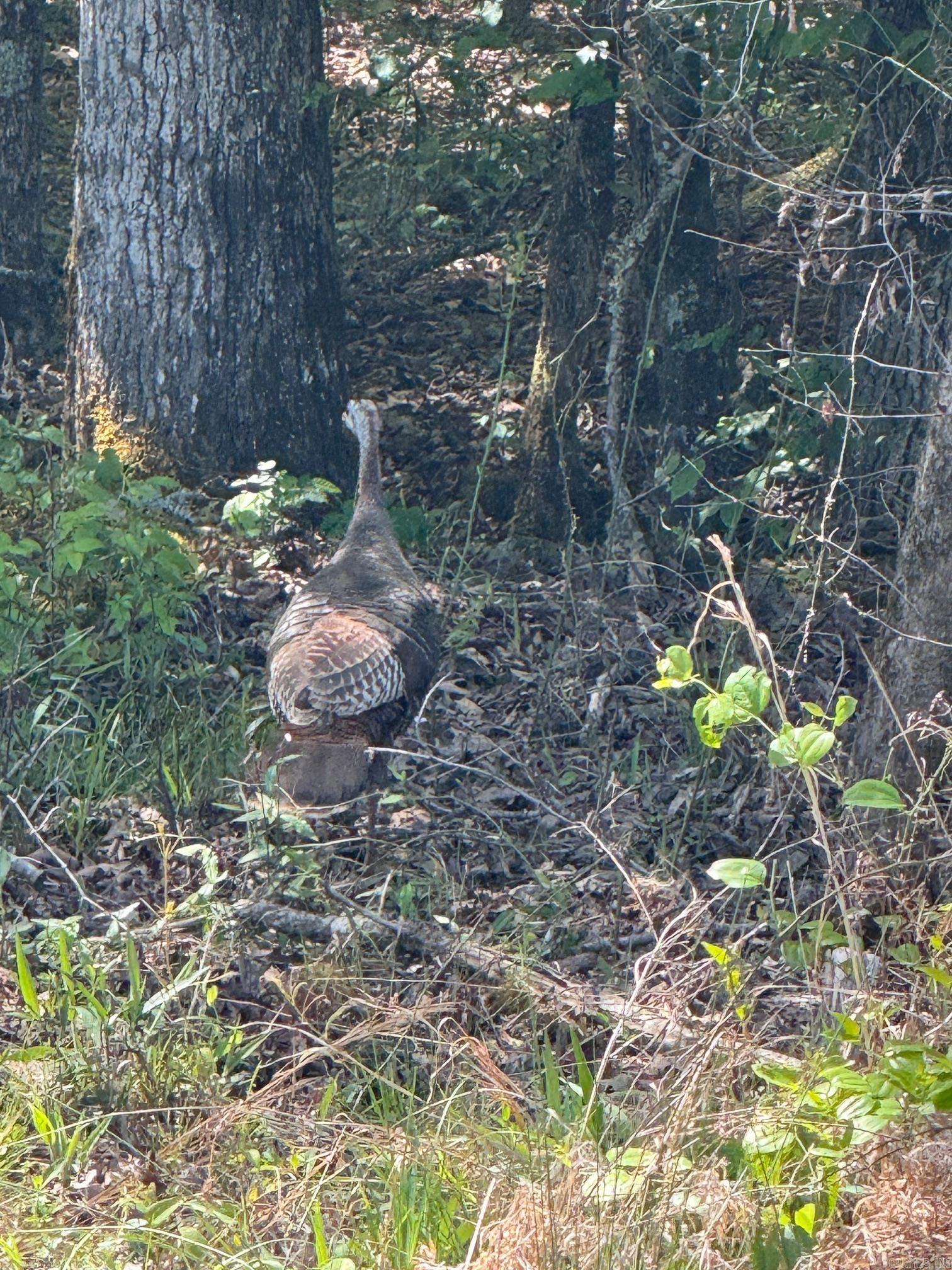 0 Smithers  Paron, AR