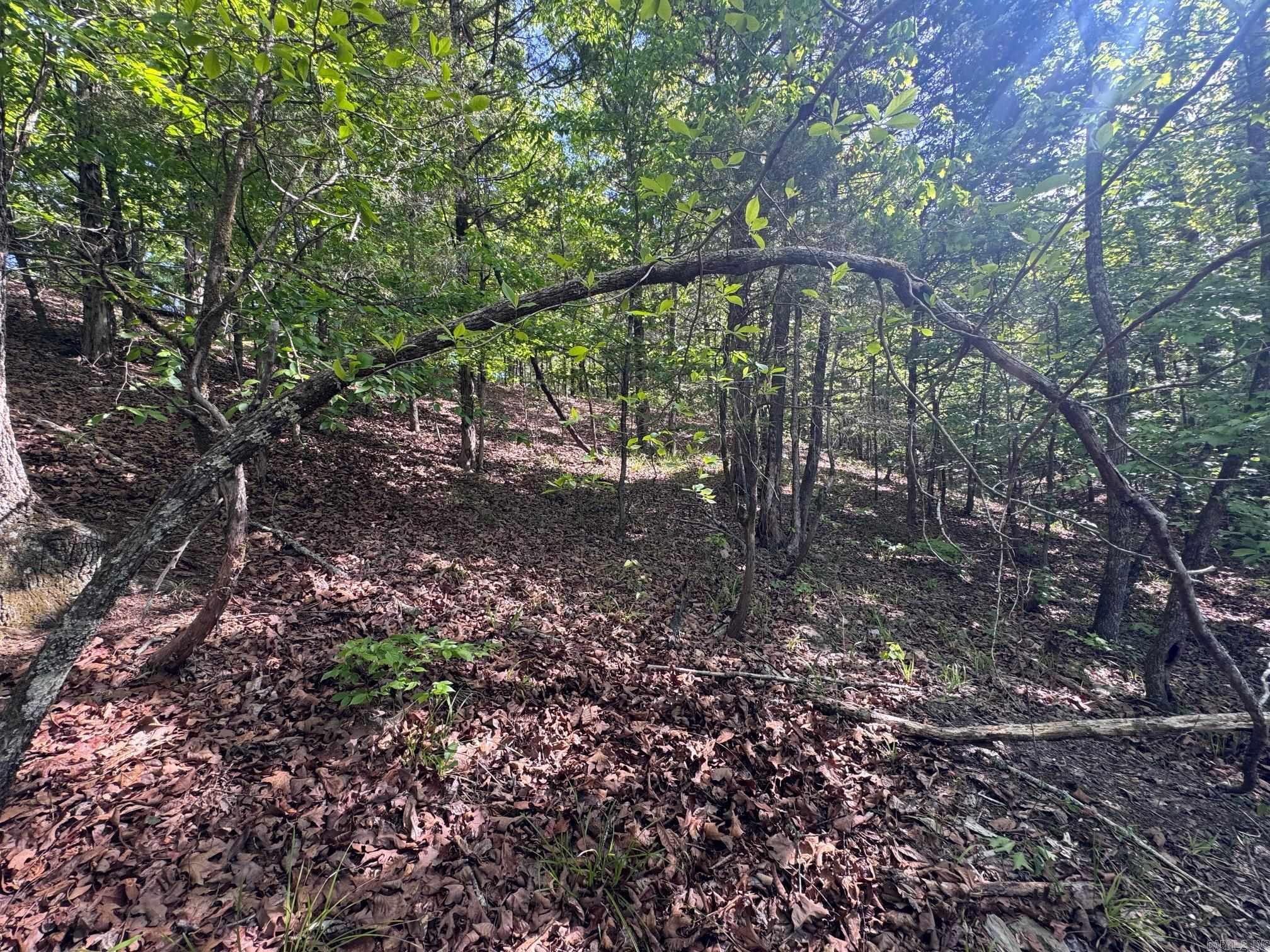 0 Smithers  Paron, AR