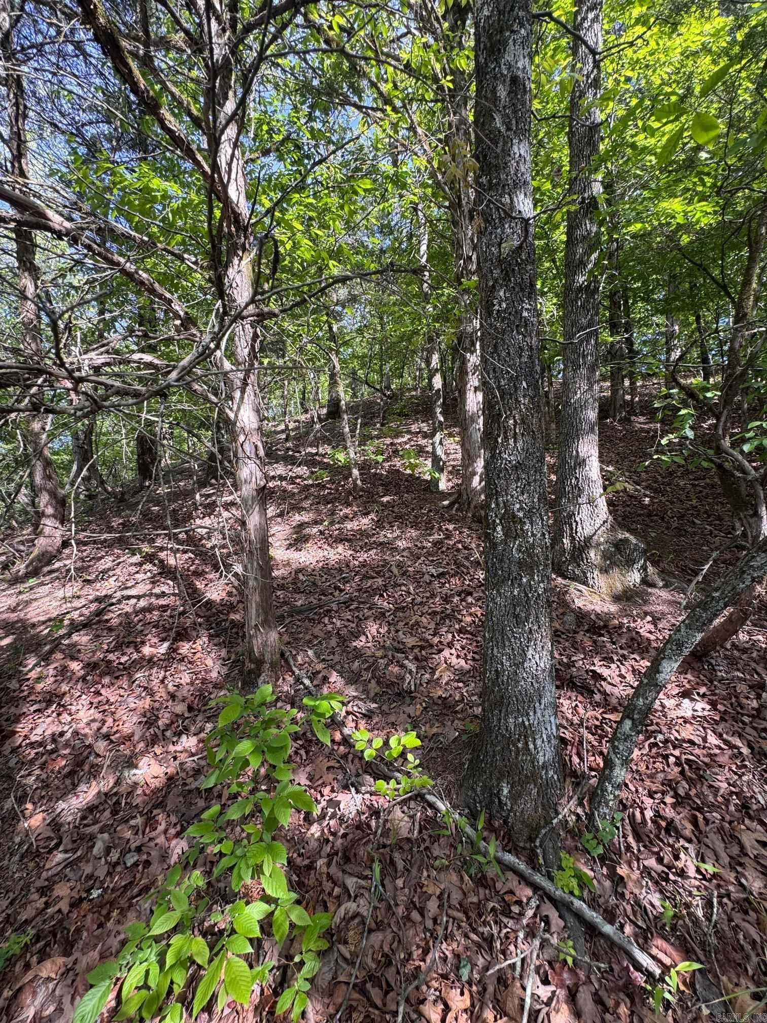 0 Smithers  Paron, AR