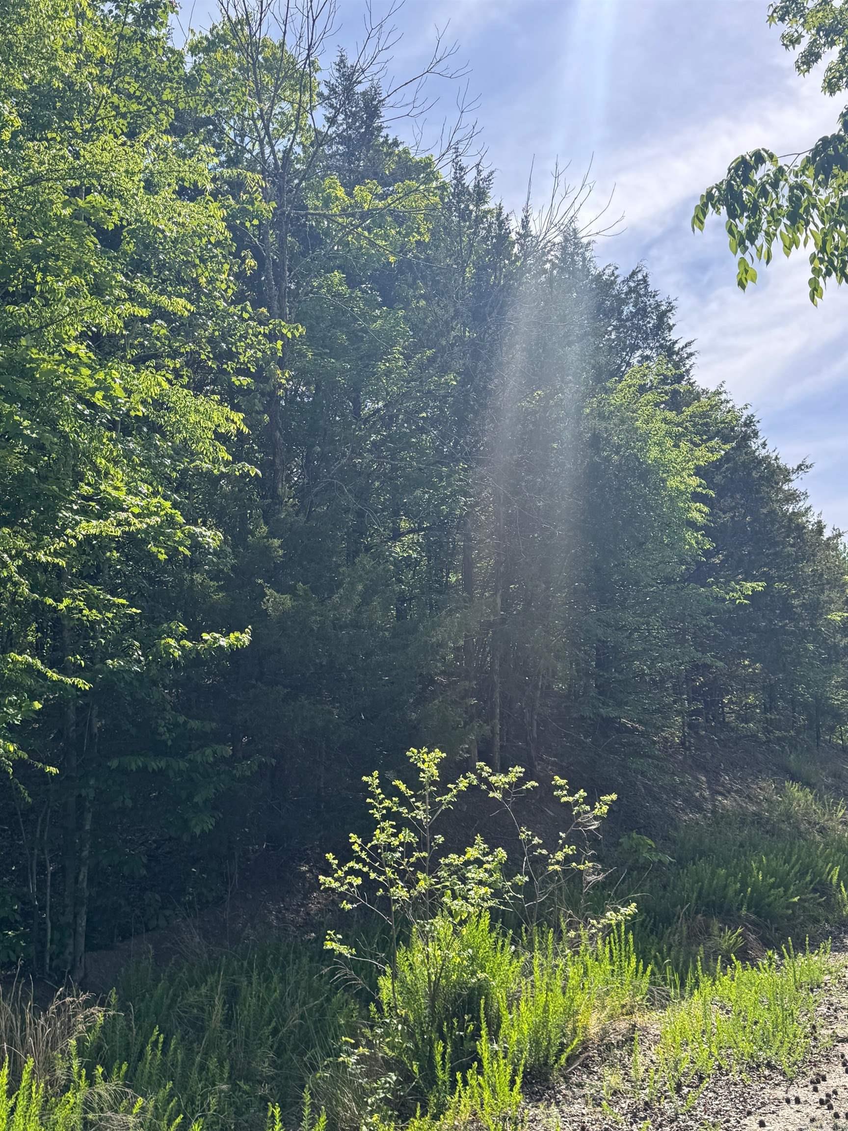 0 Smithers  Paron, AR