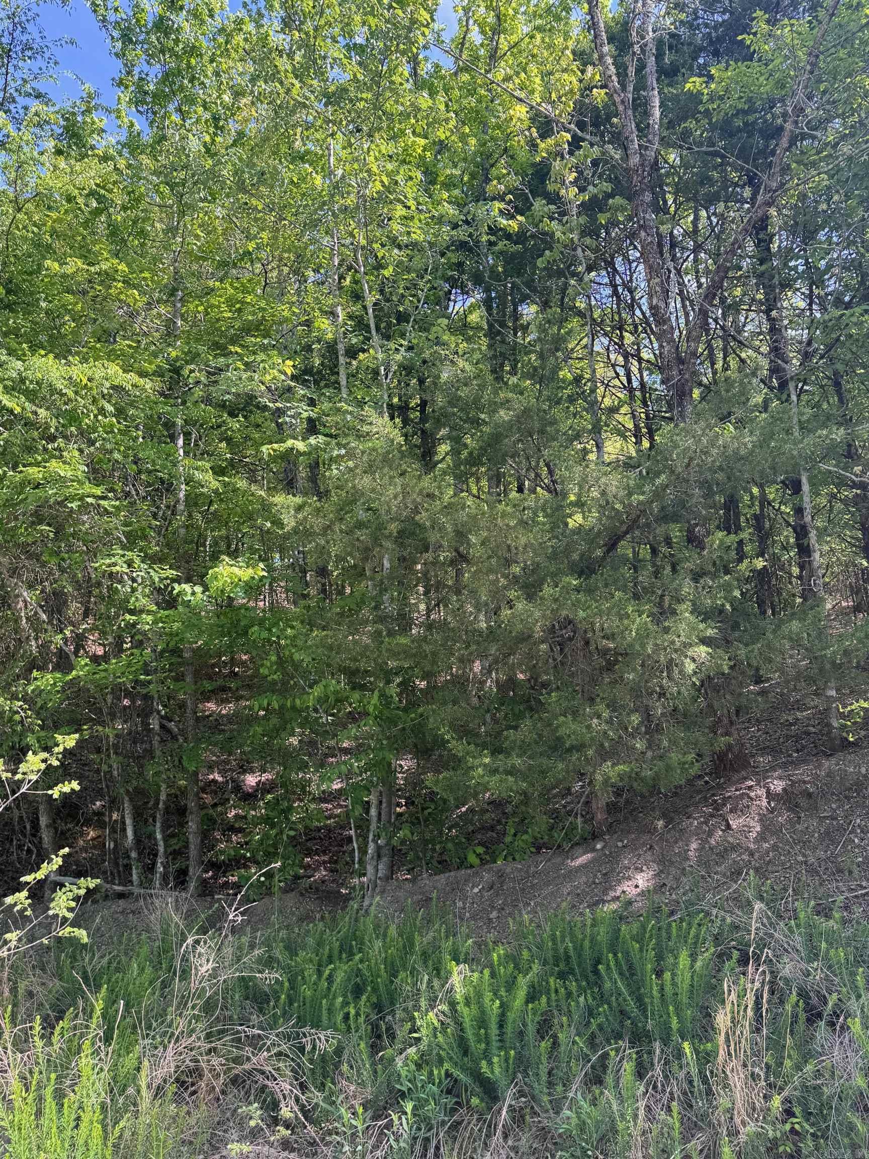 0 Smithers  Paron, AR