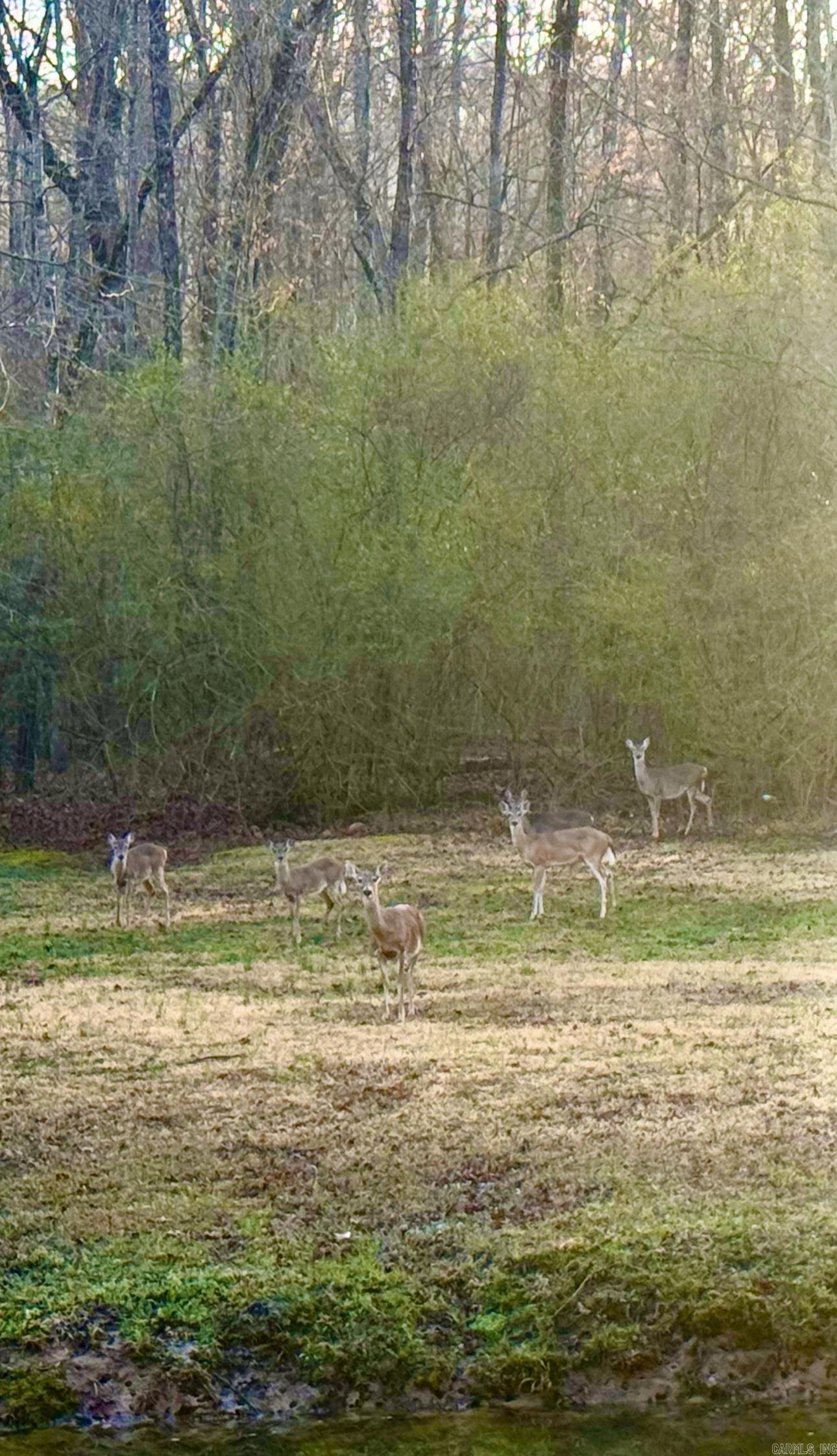 0 Smithers  Paron, AR