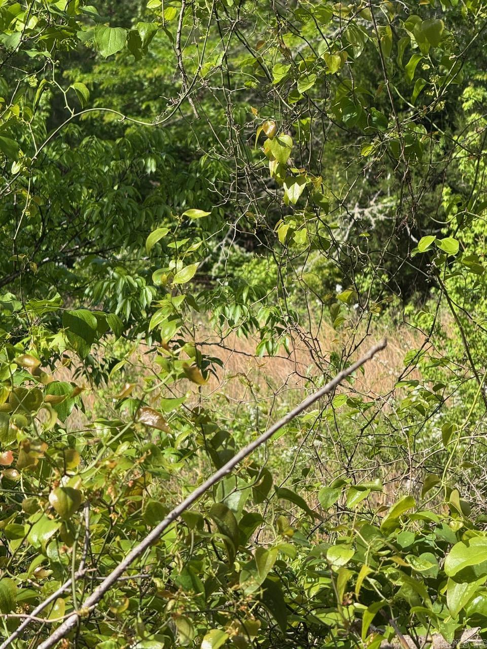 0 Smithers  Paron, AR