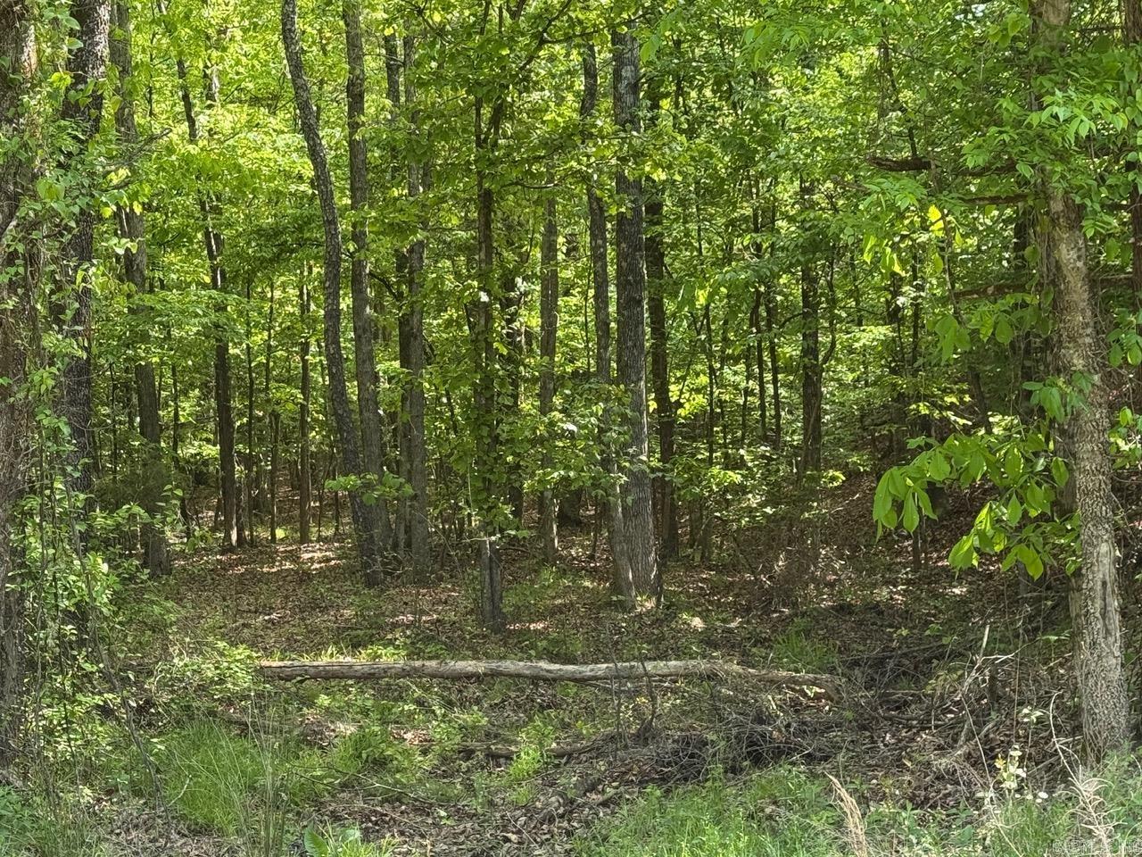 0 Smithers  Paron, AR