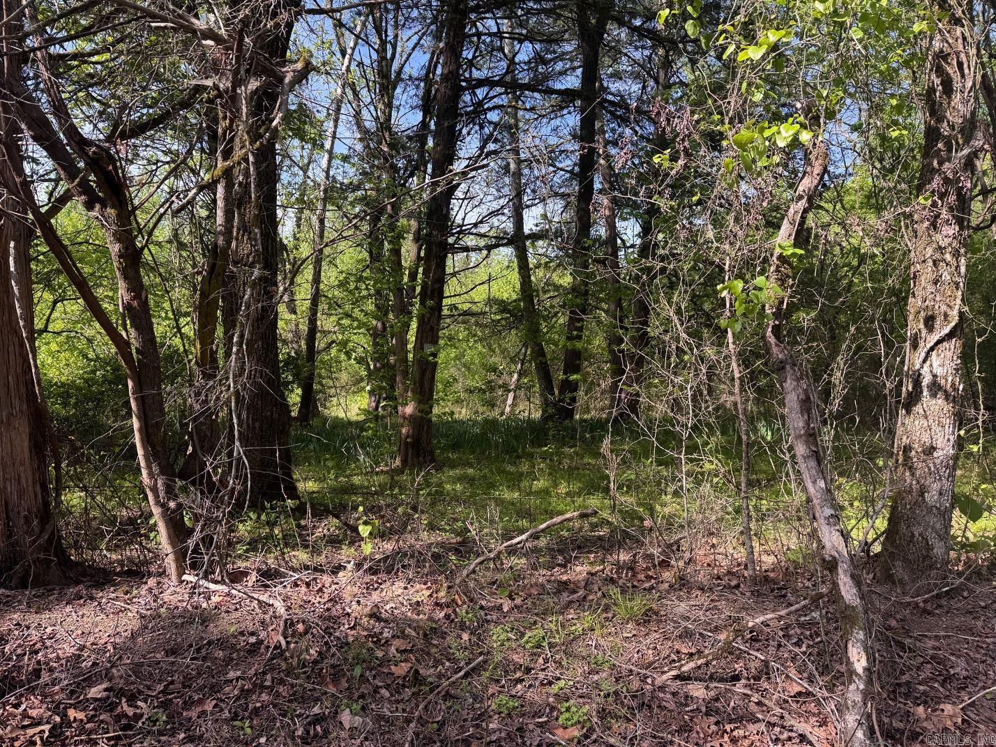 0 Smithers  Paron, AR