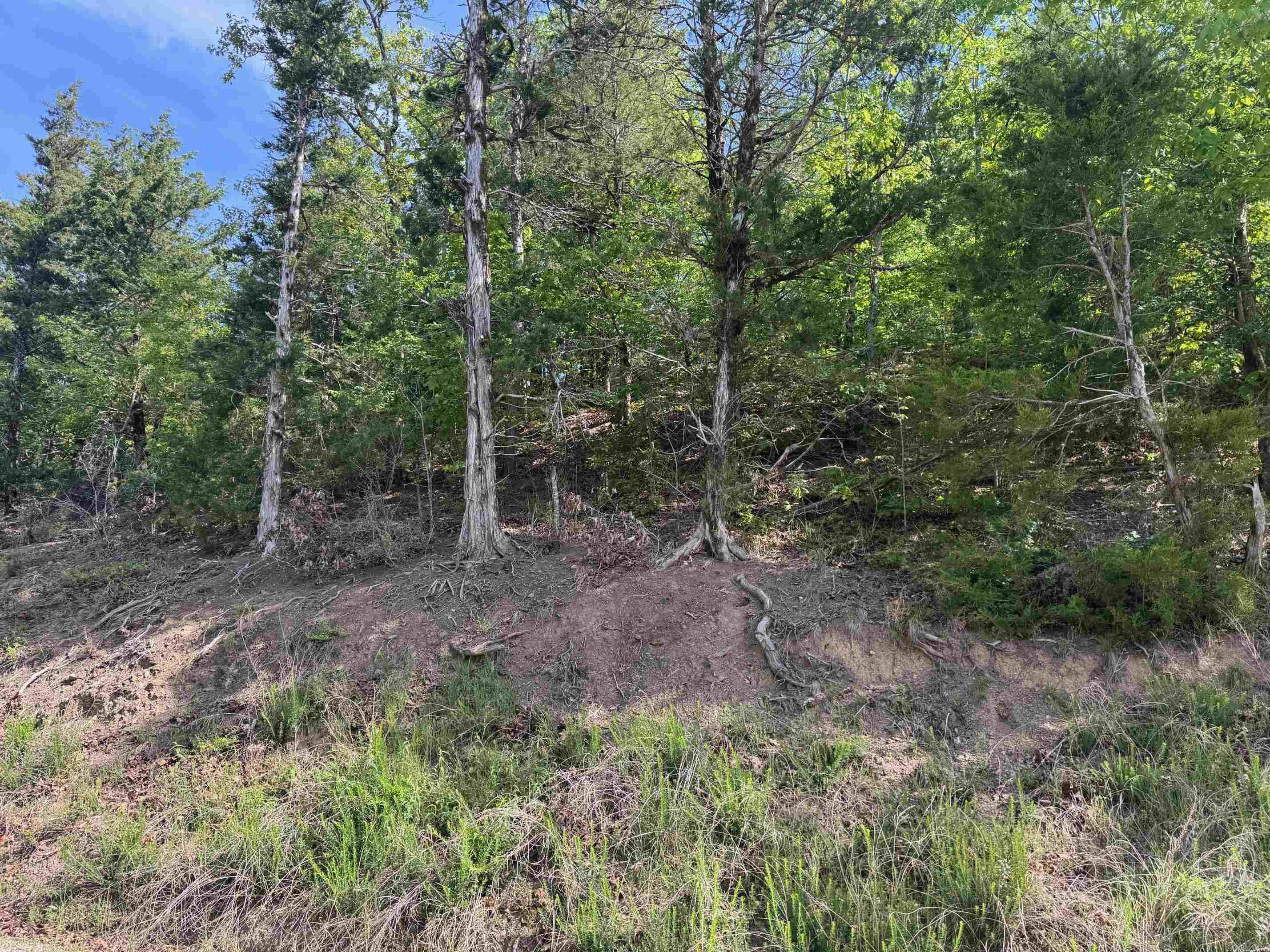 0 Smithers  Paron, AR