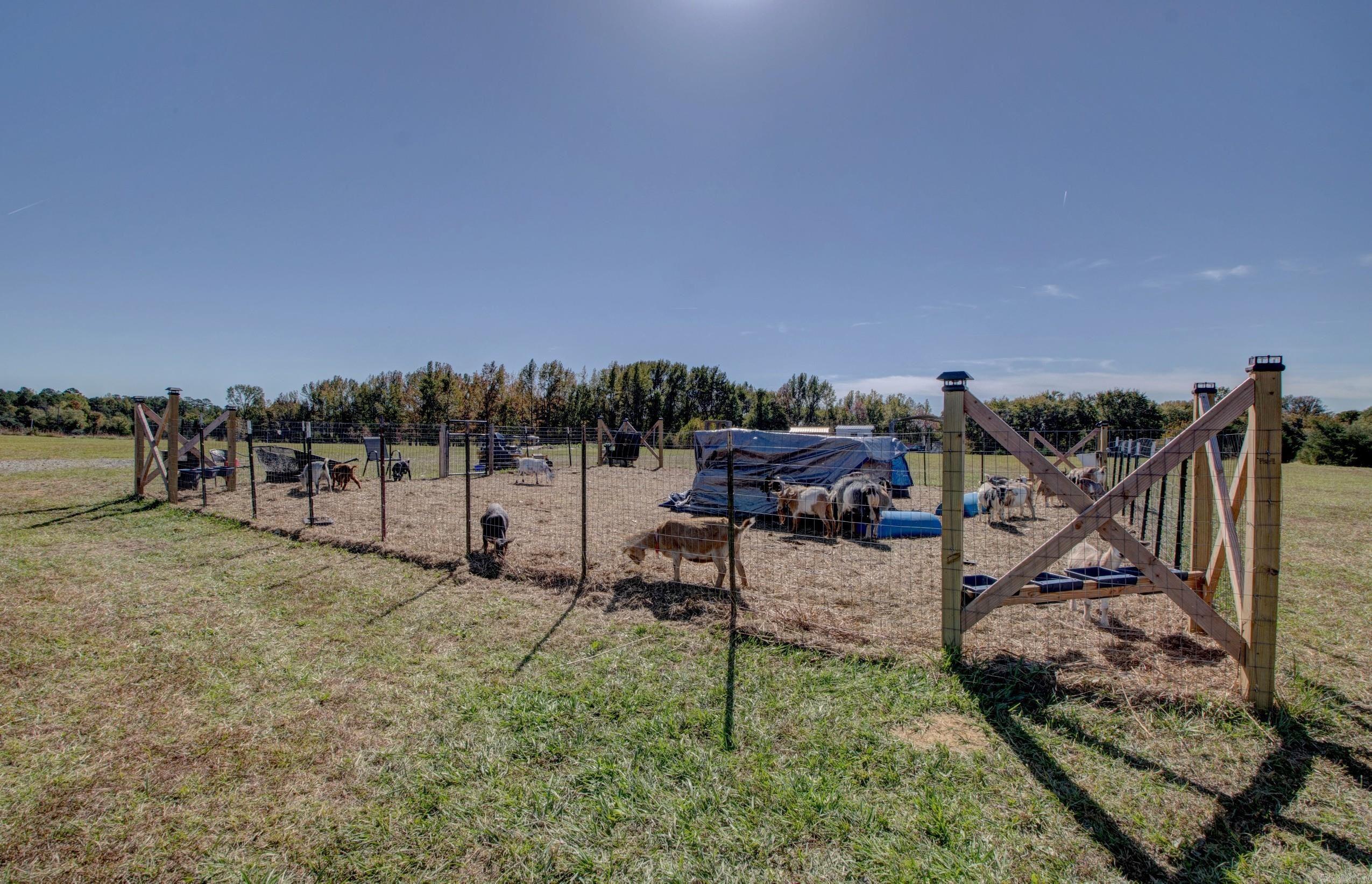 99 Wadley  Romance, AR