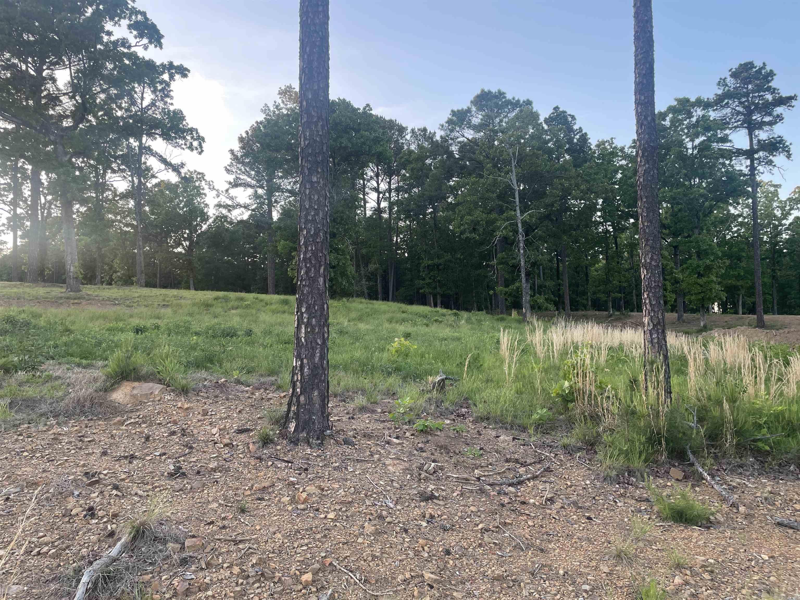 3000 Orchard Crest  Conway, AR