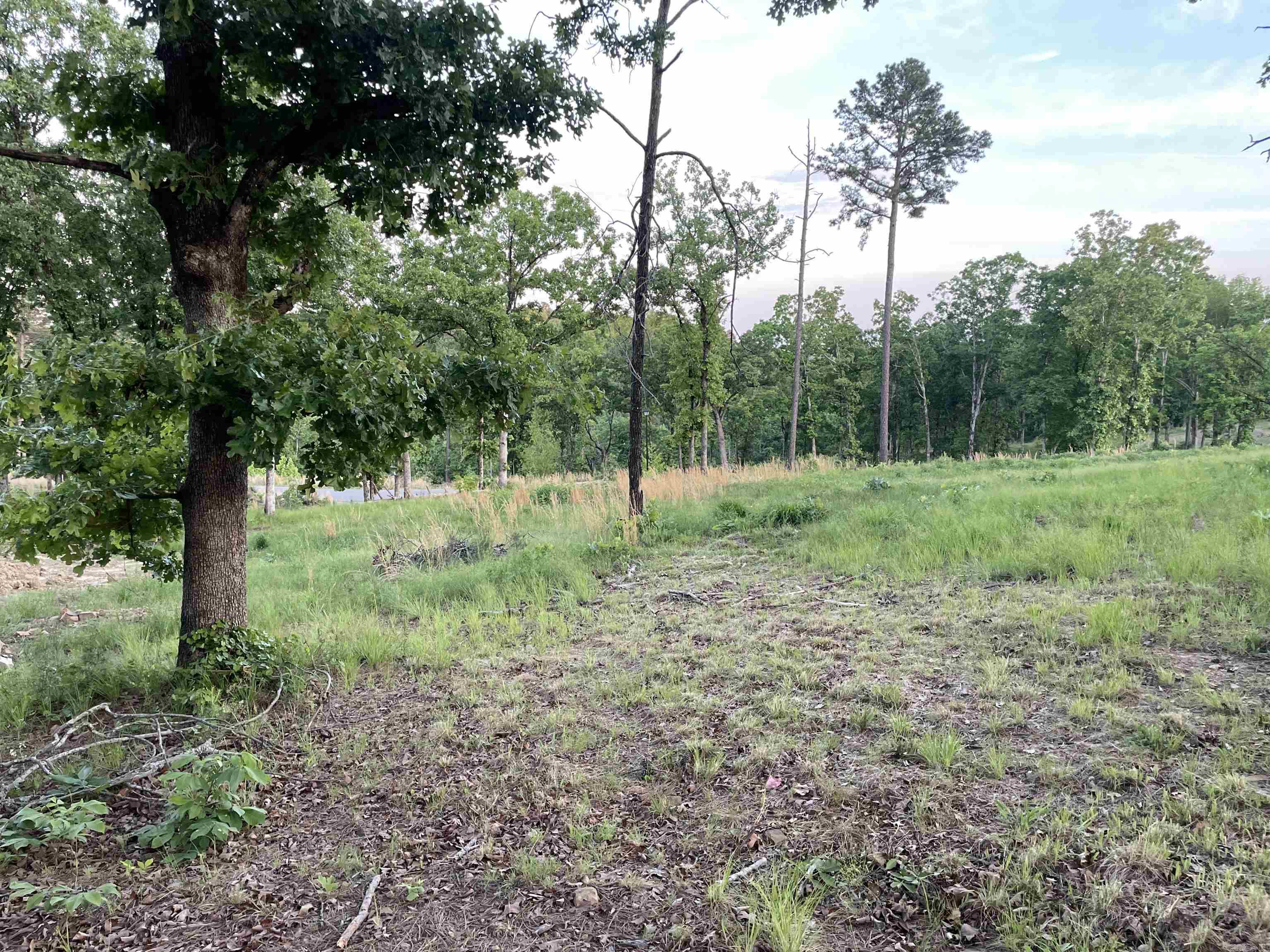 3000 Orchard Crest  Conway, AR