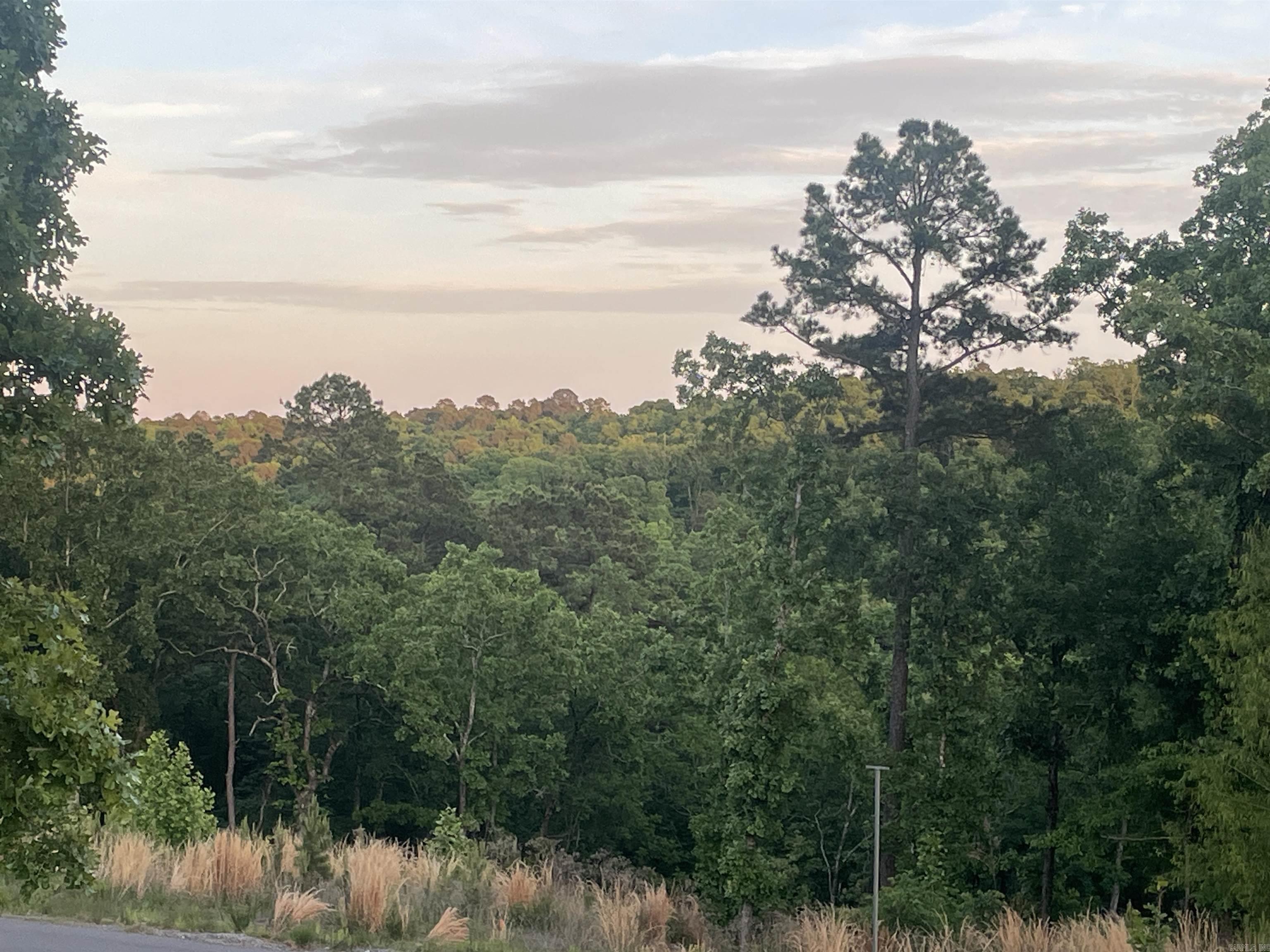 3000 Orchard Crest  Conway, AR