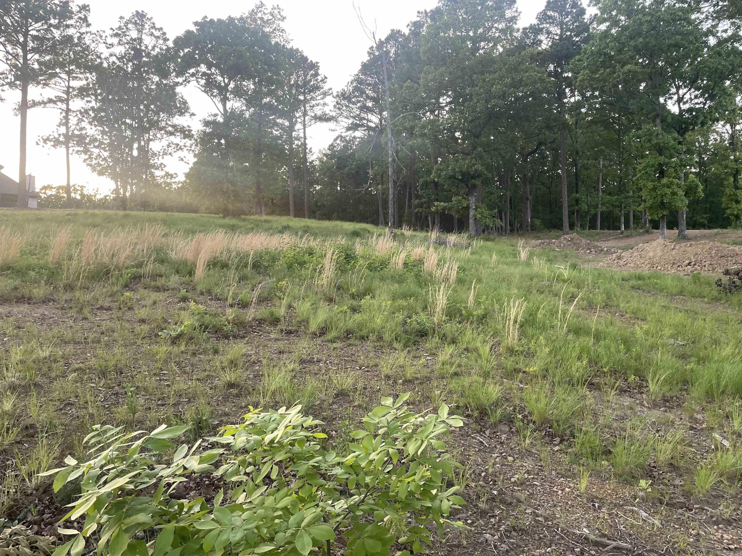 3000 Orchard Crest  Conway, AR