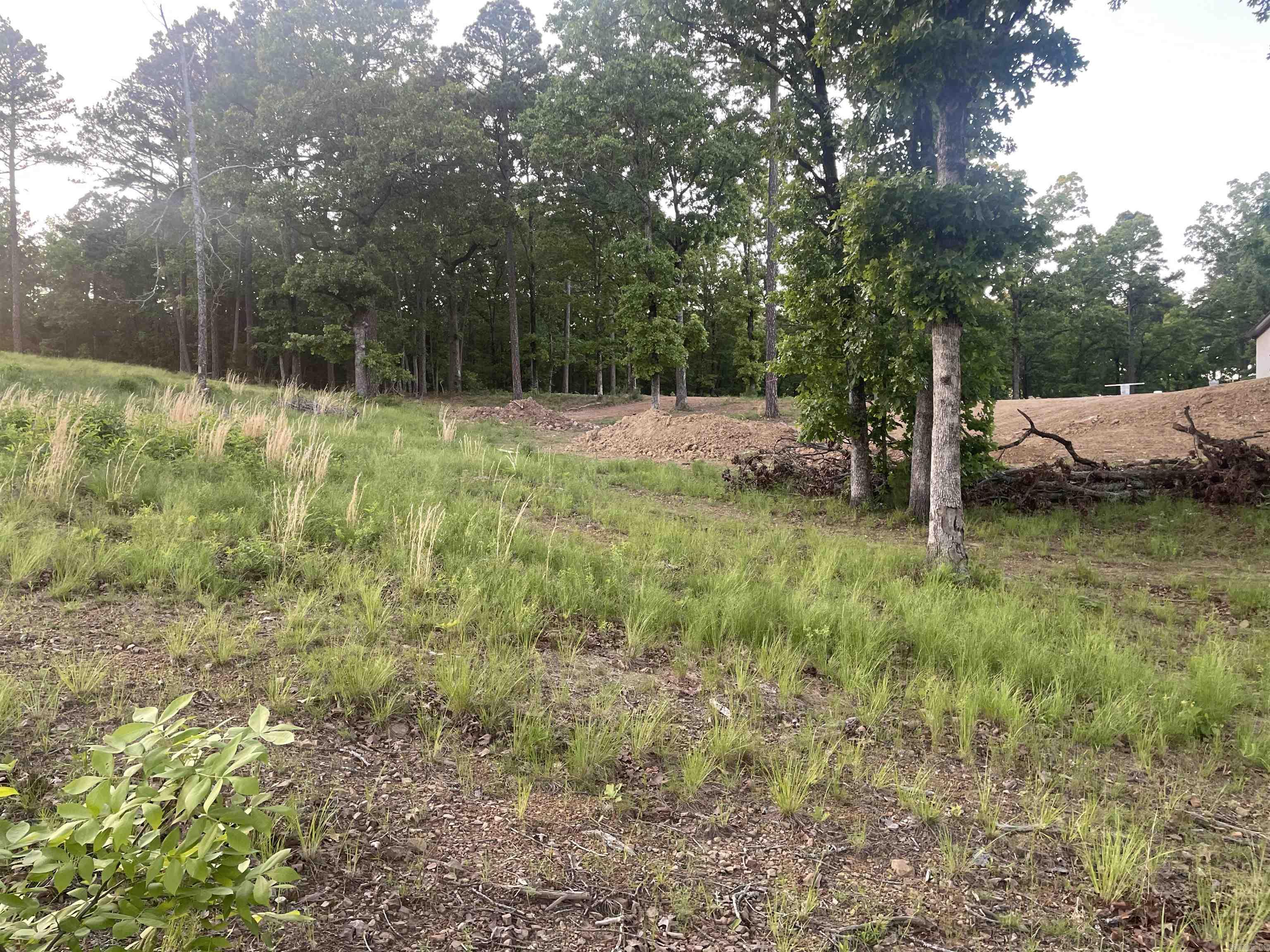 3000 Orchard Crest  Conway, AR