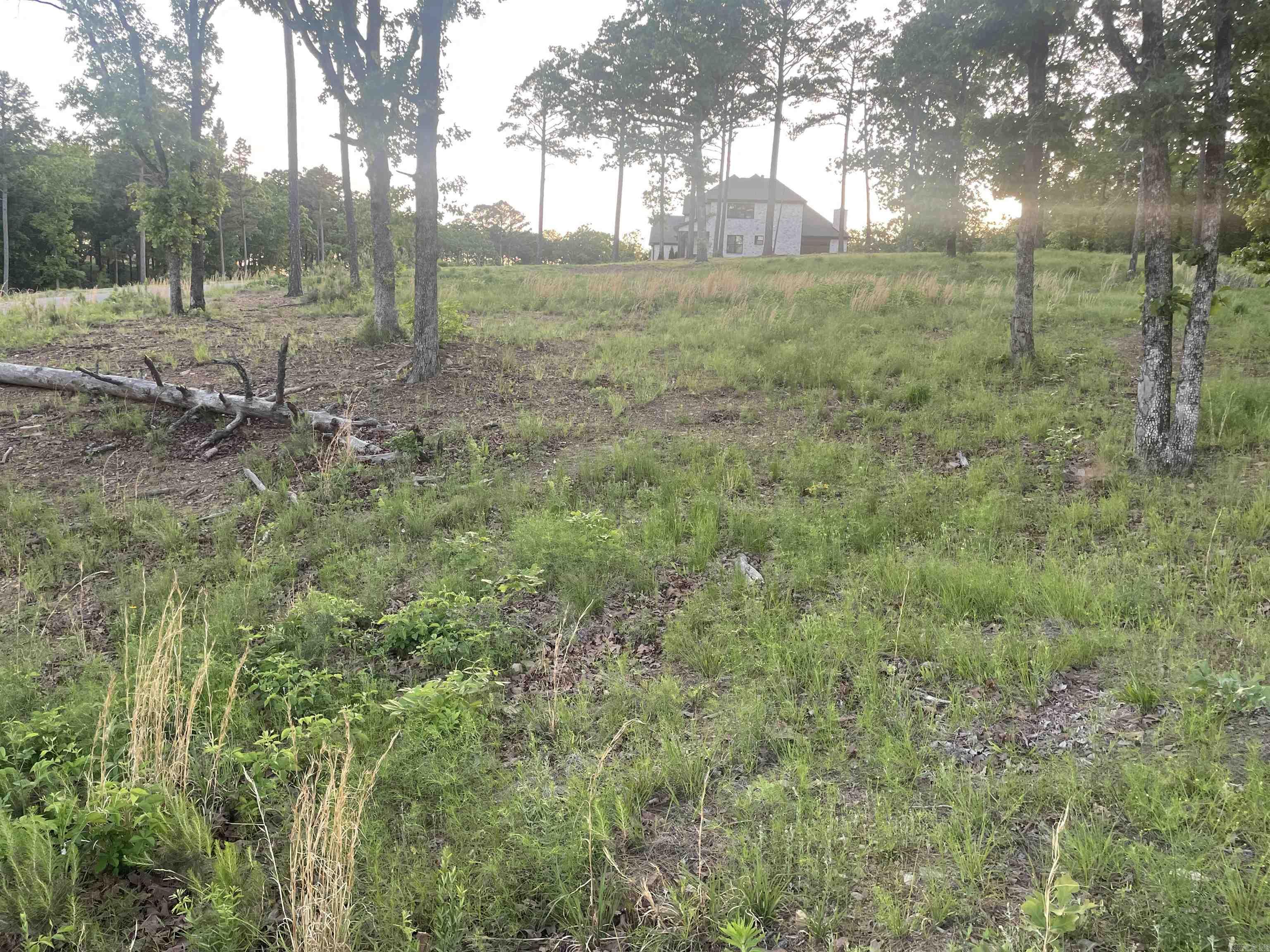 3000 Orchard Crest  Conway, AR