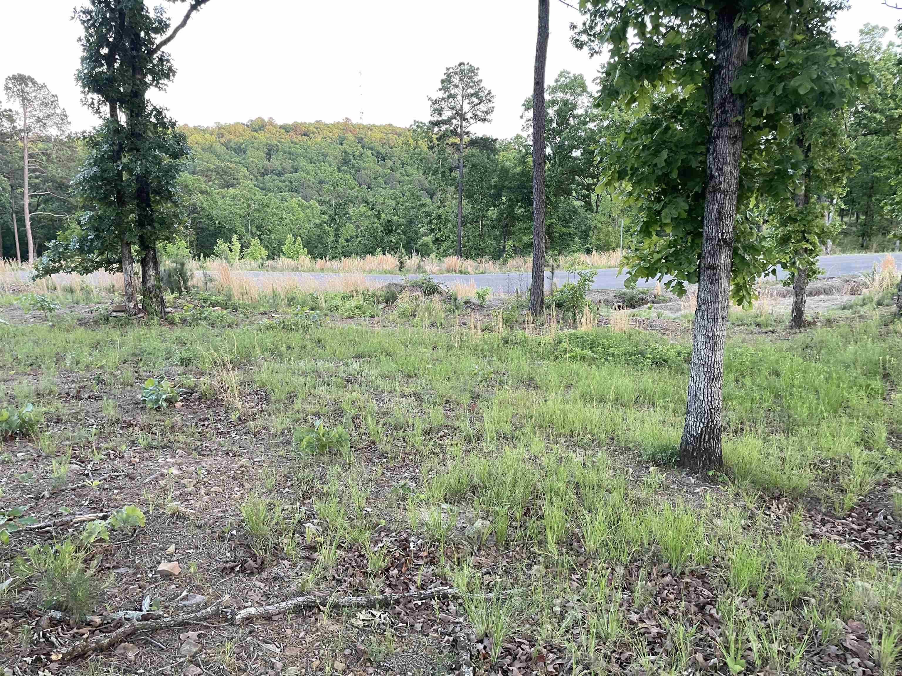 3000 Orchard Crest  Conway, AR