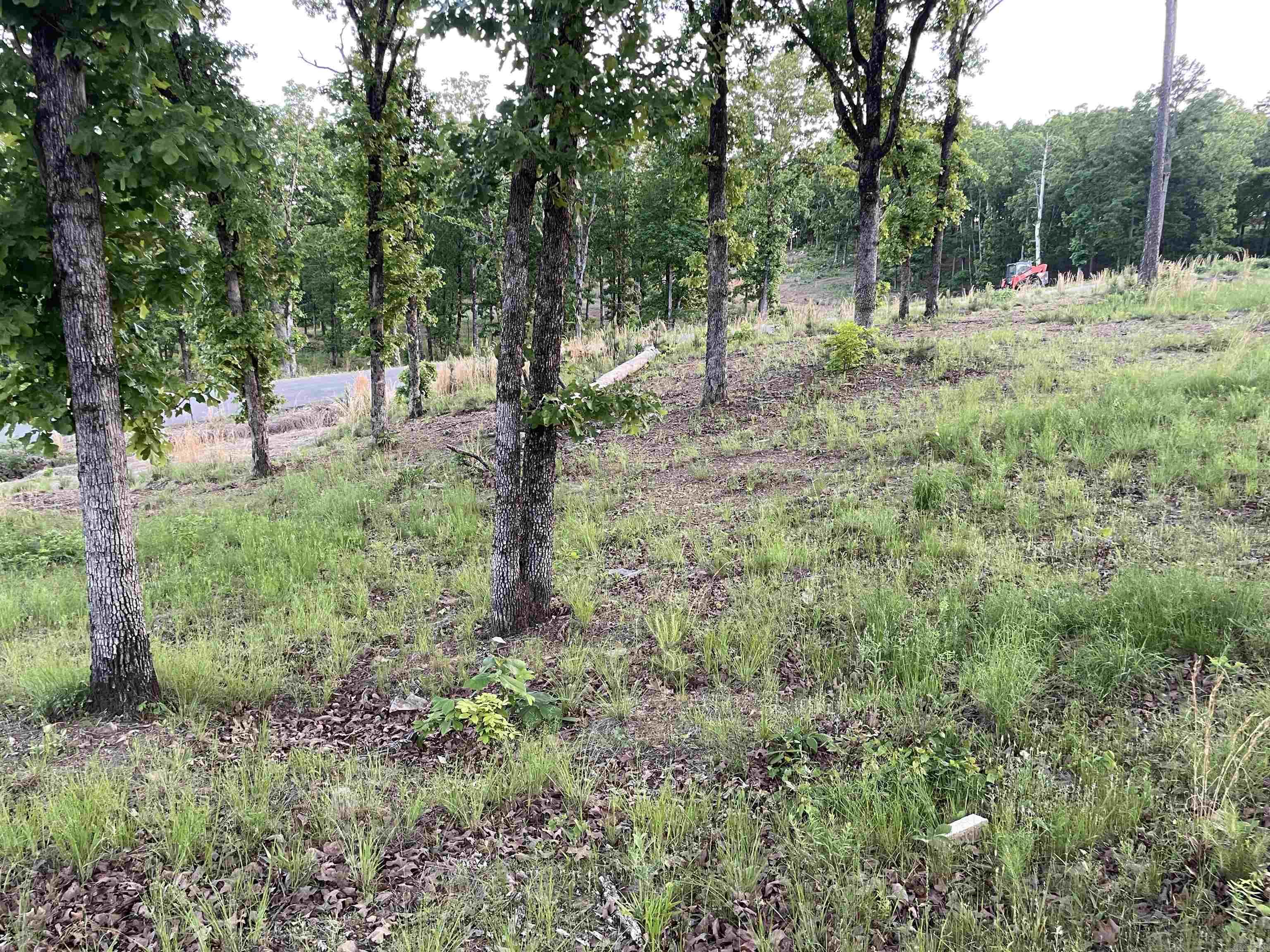 3000 Orchard Crest  Conway, AR