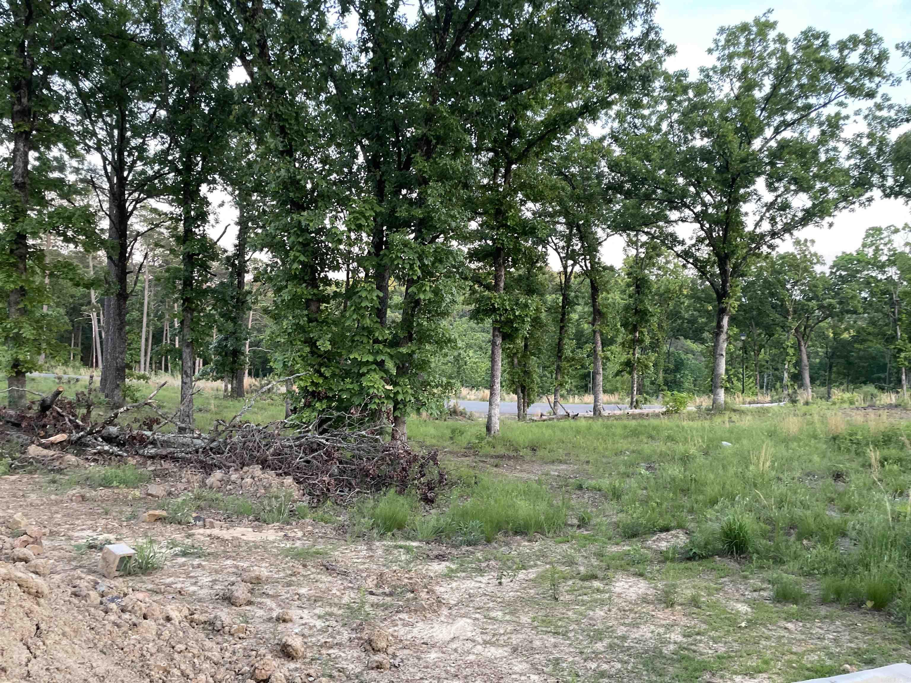 3000 Orchard Crest  Conway, AR