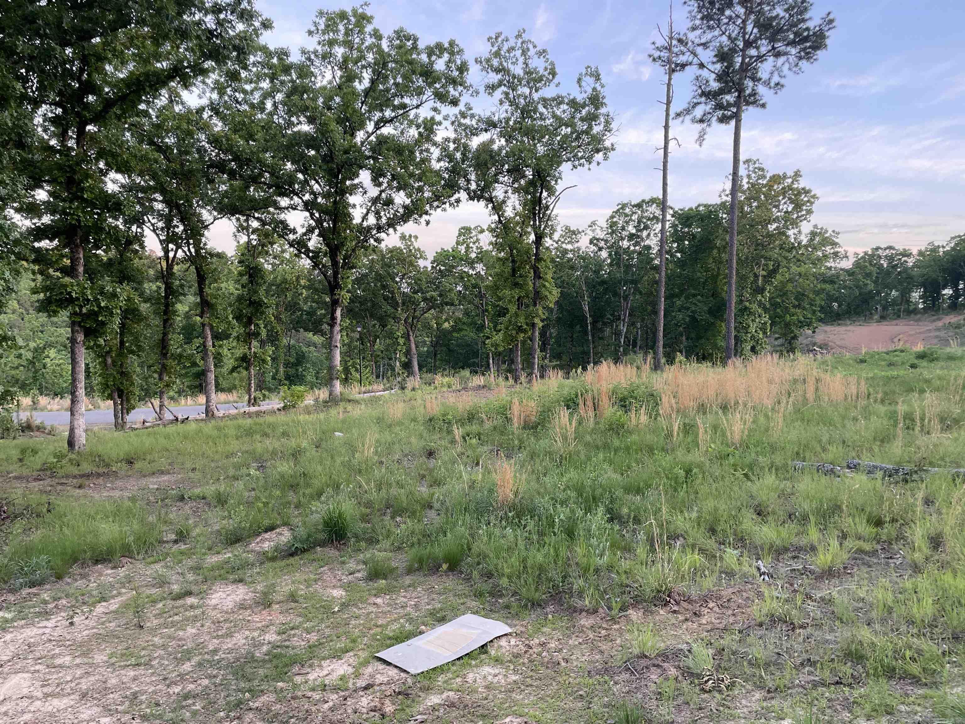 3000 Orchard Crest  Conway, AR