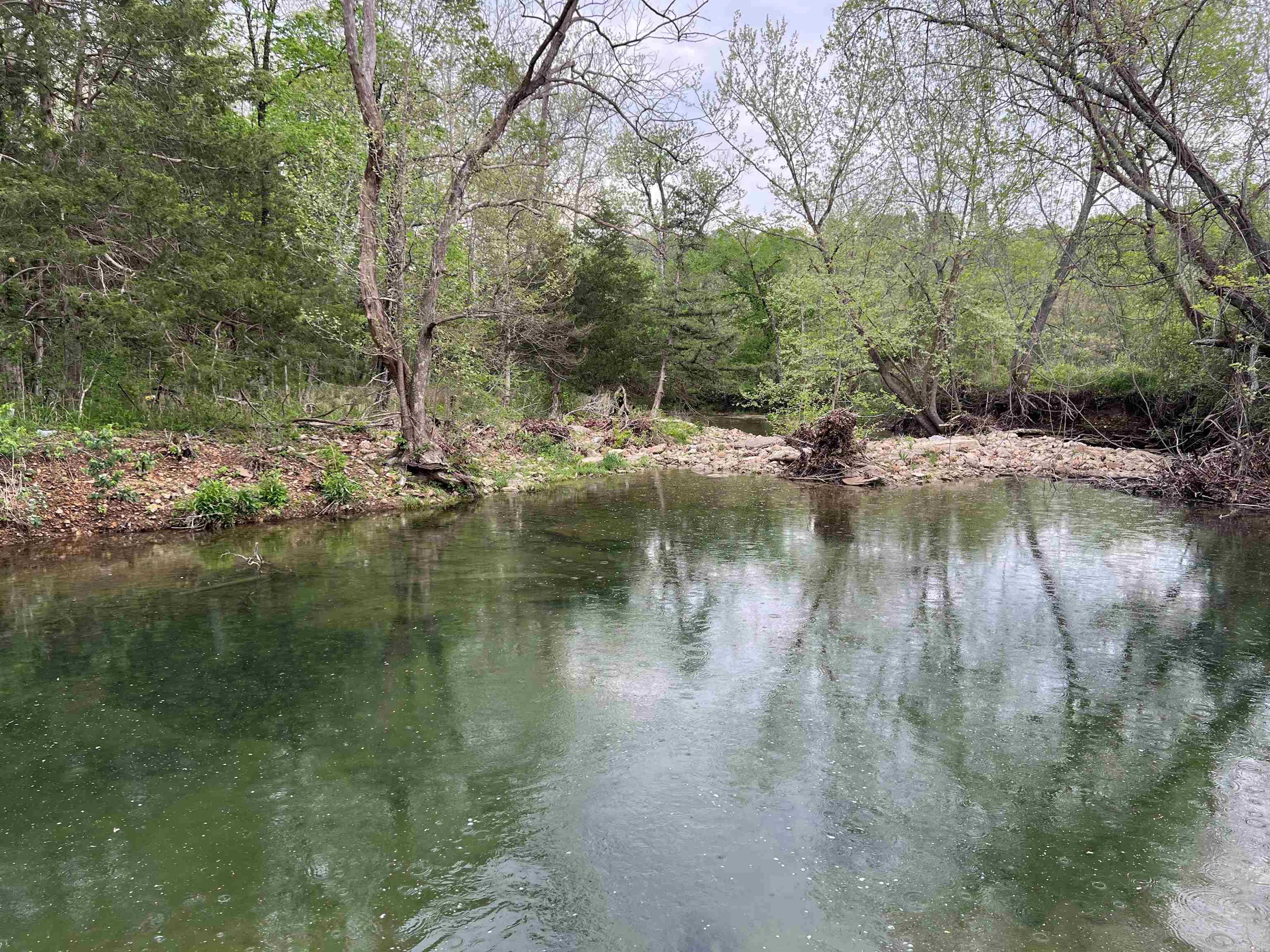  Cedar Grove  Lead Hill, AR