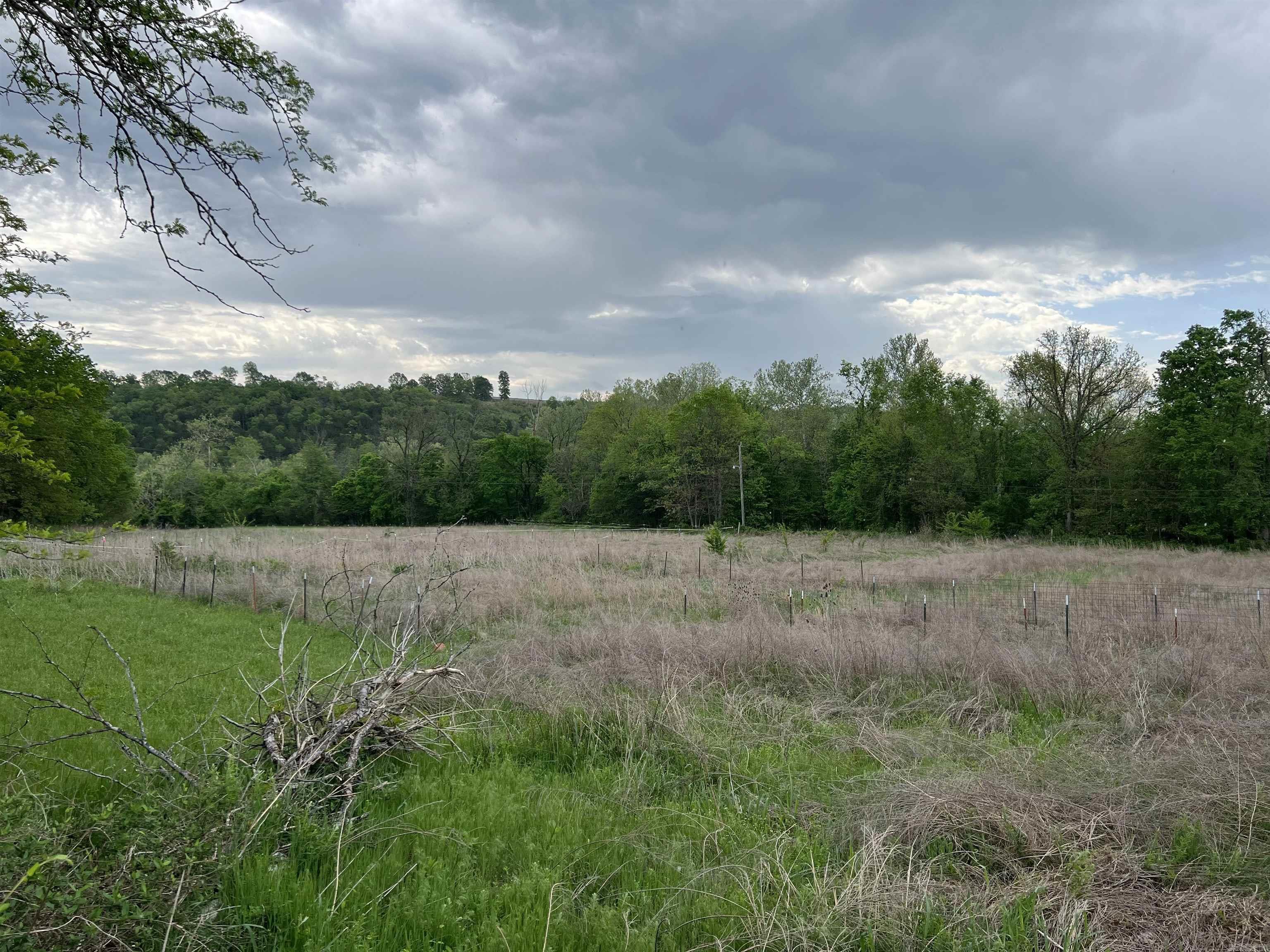  Cedar Grove  Lead Hill, AR