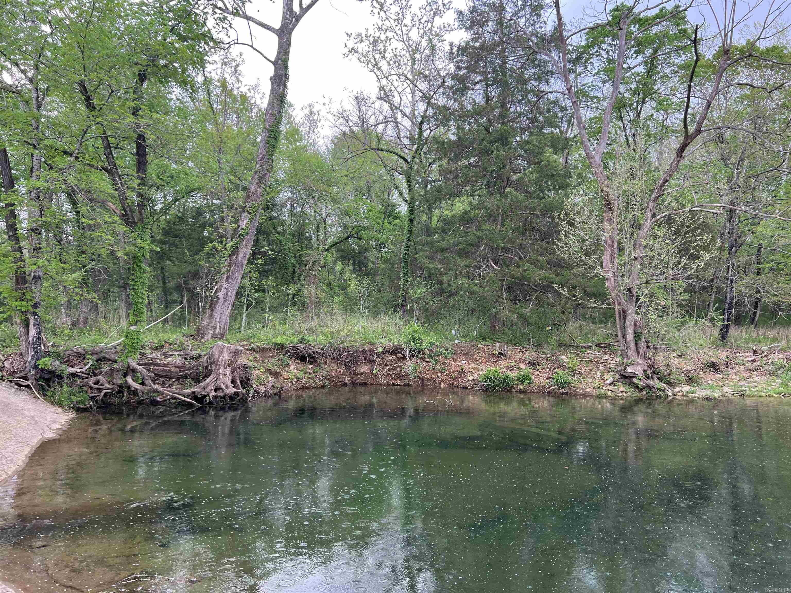  Cedar Grove  Lead Hill, AR