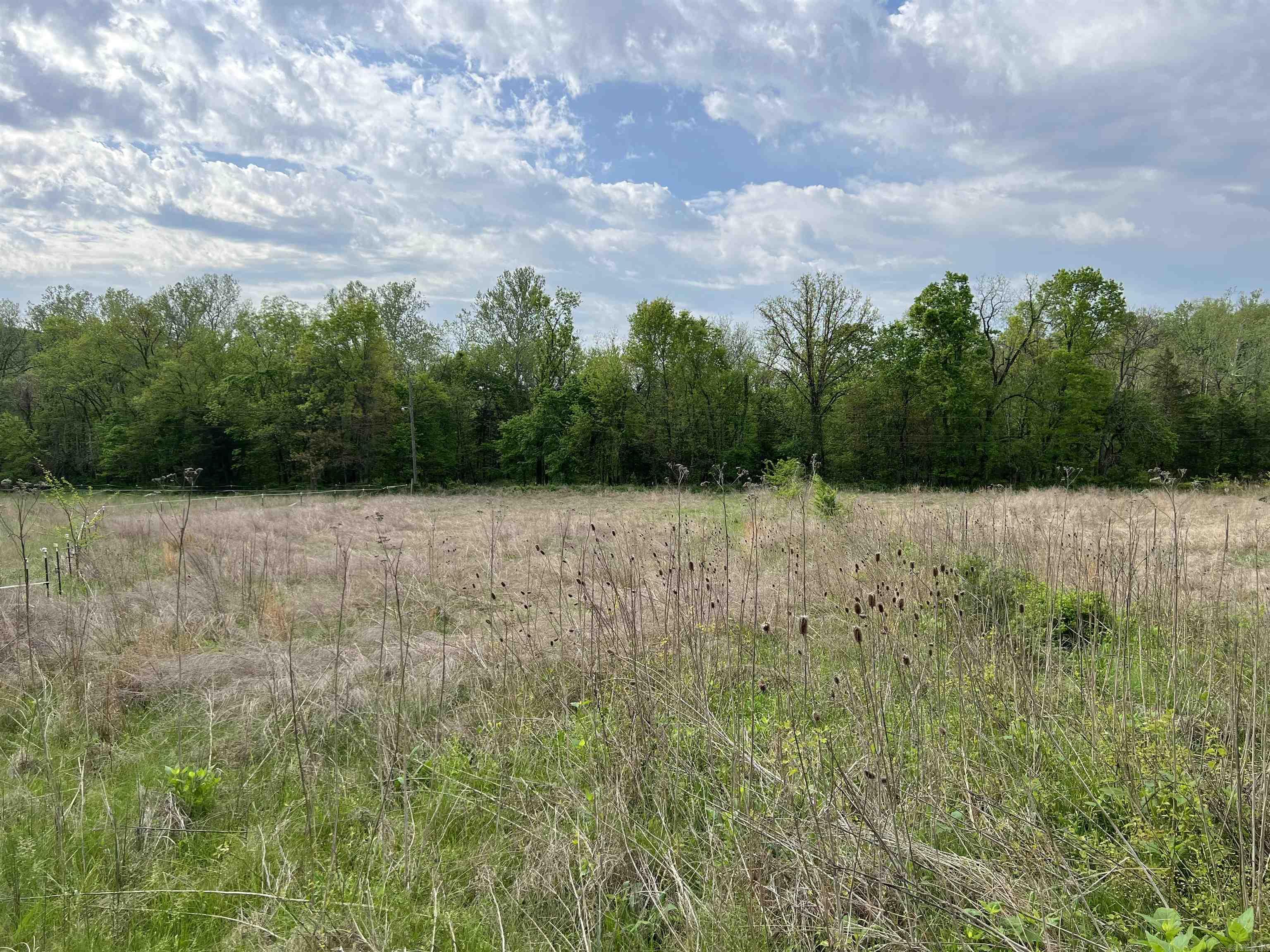  Cedar Grove  Lead Hill, AR