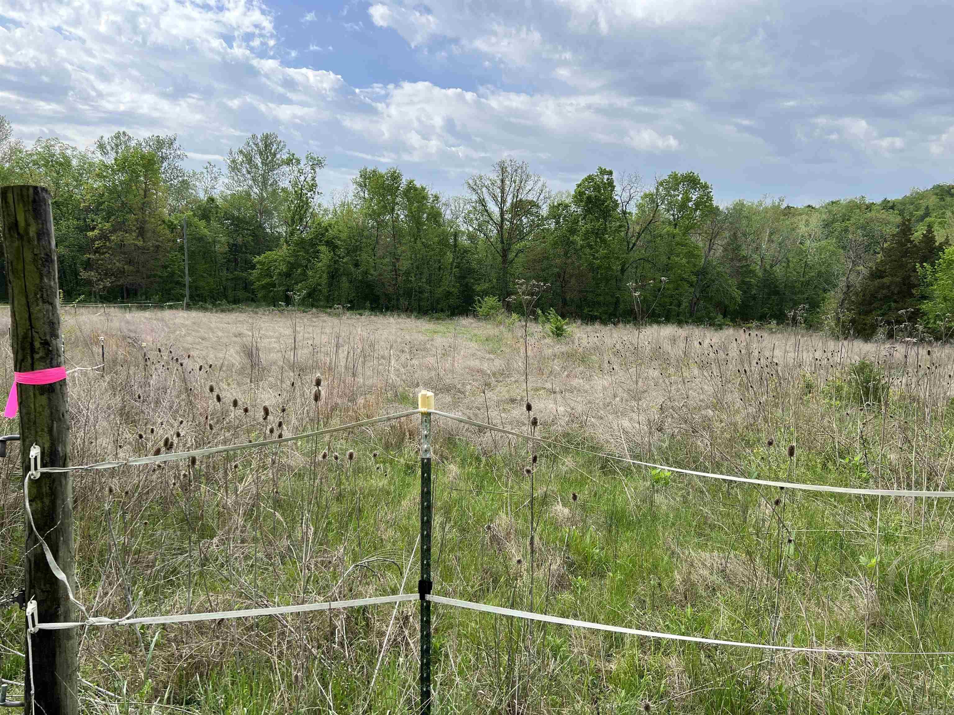  Cedar Grove  Lead Hill, AR