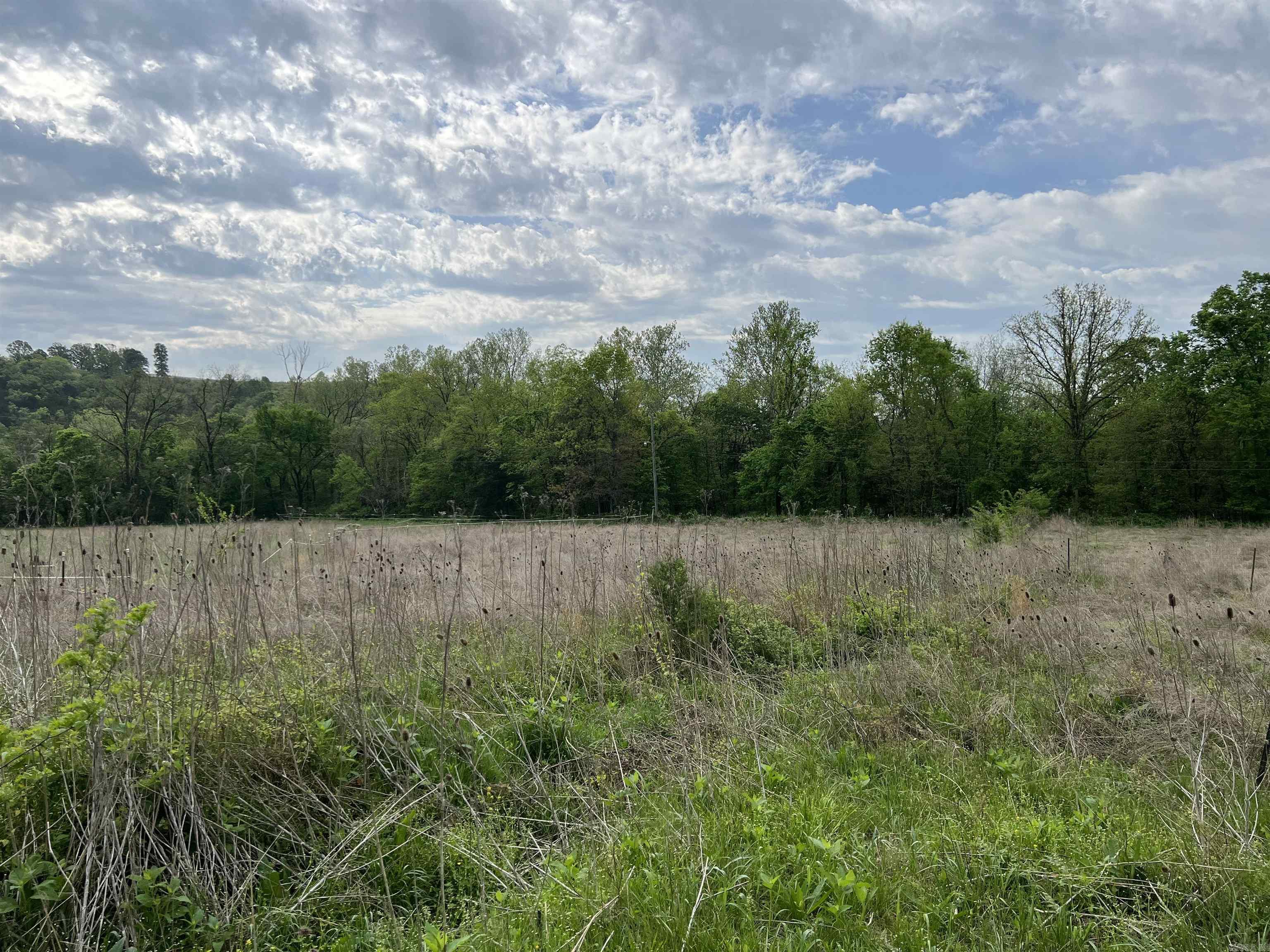  Cedar Grove  Lead Hill, AR