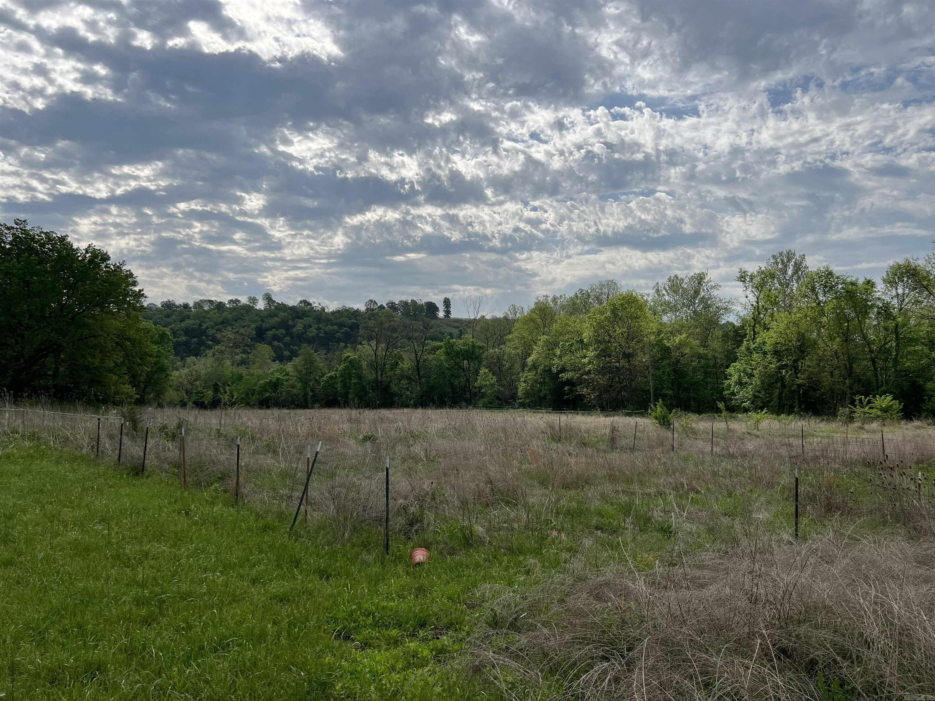  Cedar Grove  Lead Hill, AR