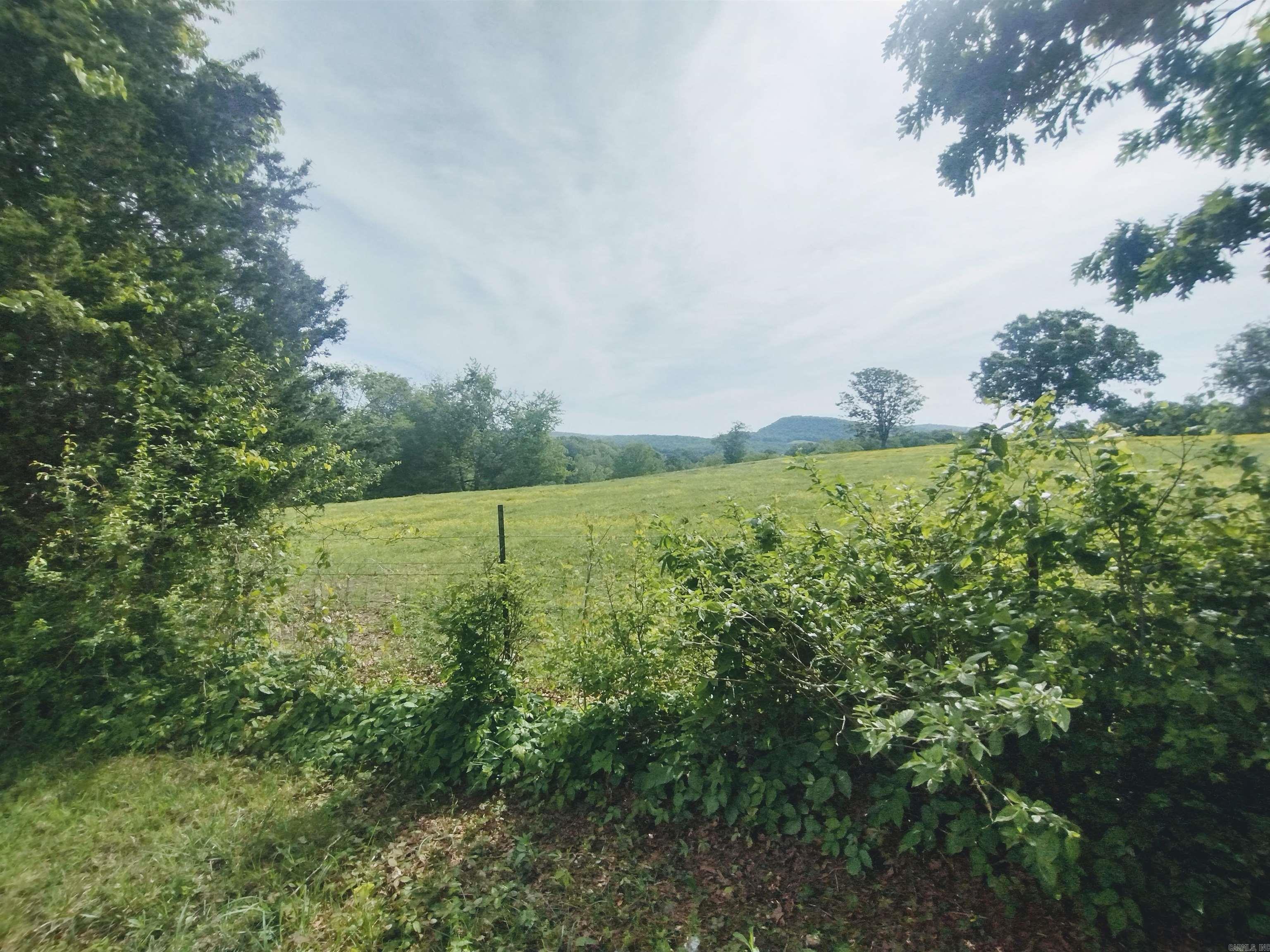 10633 hwy 66  Timbo, AR