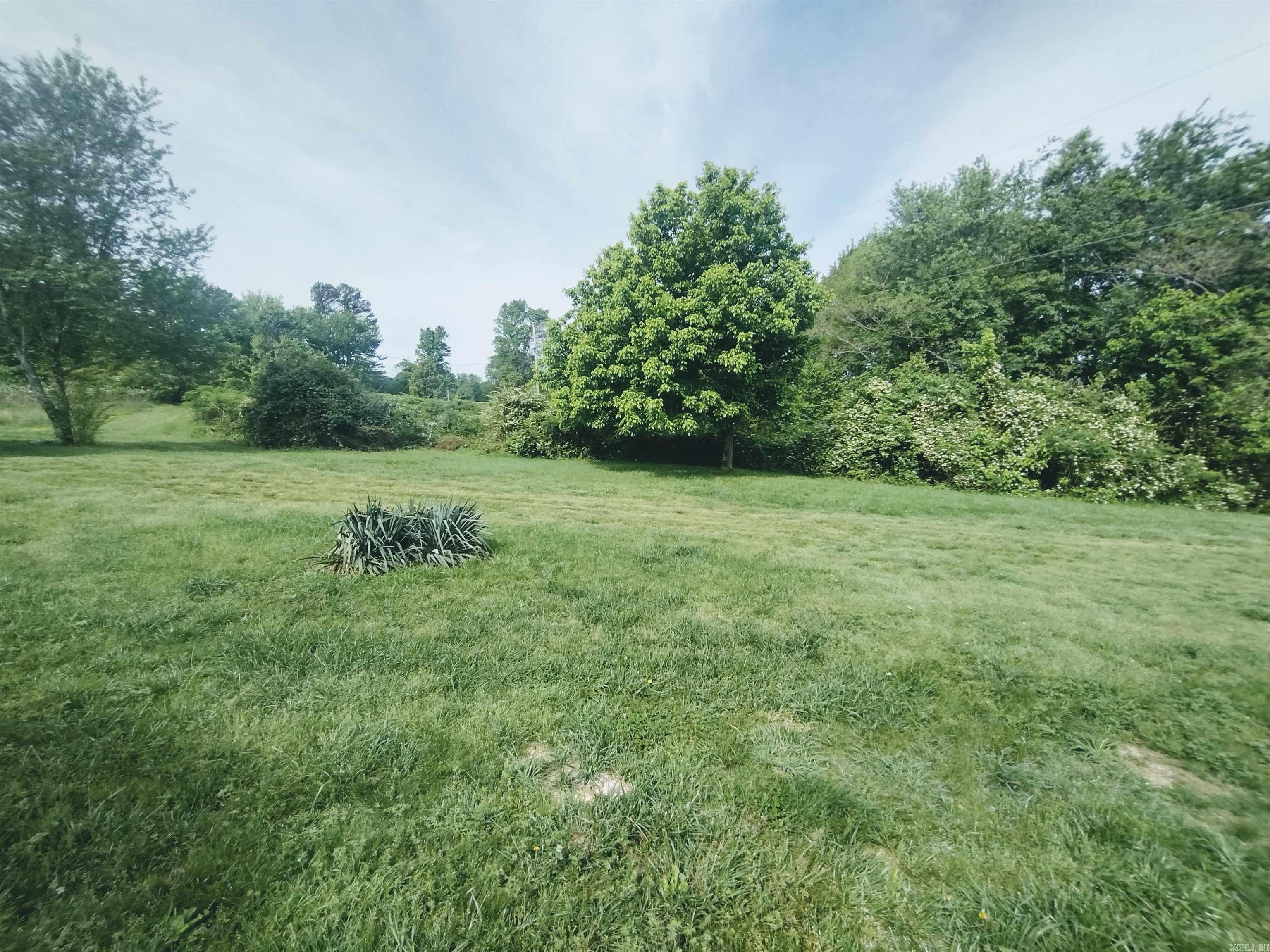 10633 hwy 66  Timbo, AR