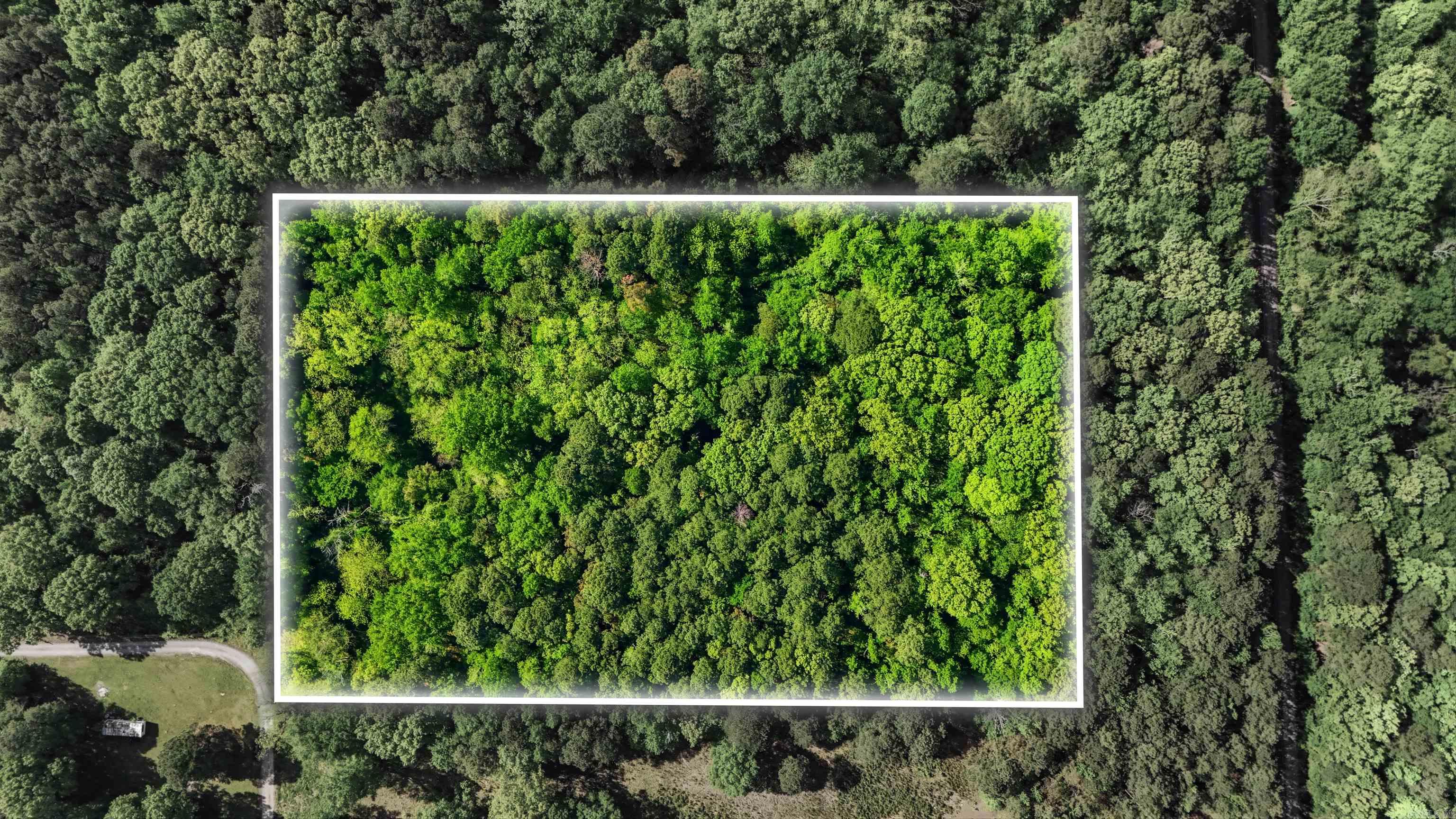 E Wilson  Little Rock, AR