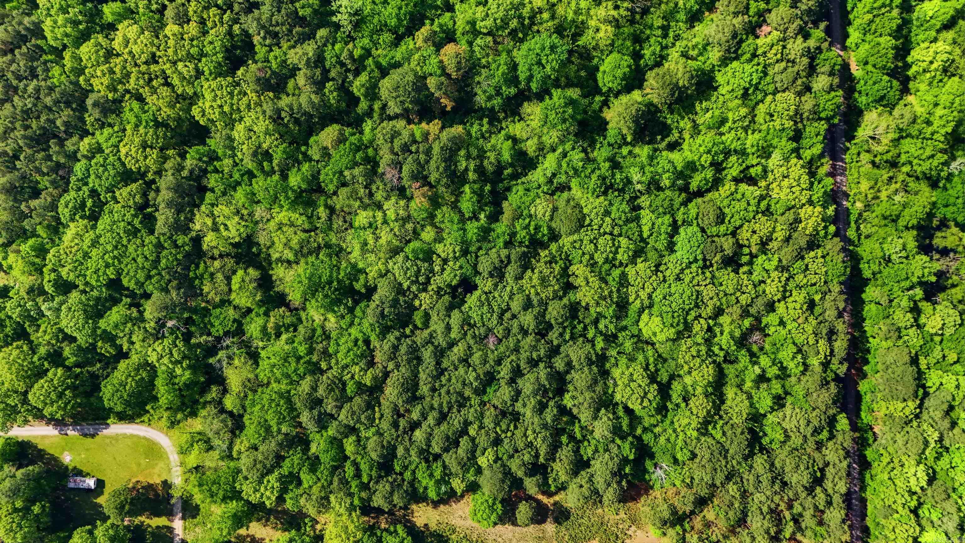 E Wilson  Little Rock, AR