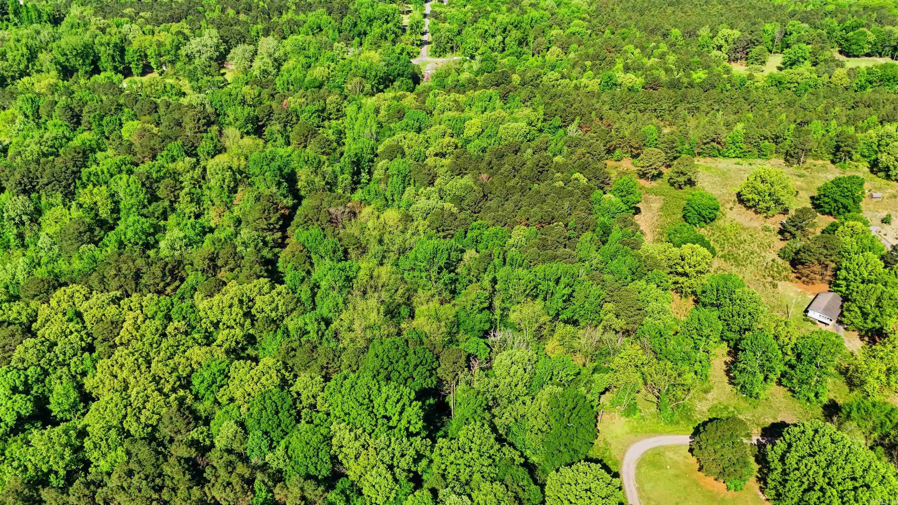 E Wilson  Little Rock, AR