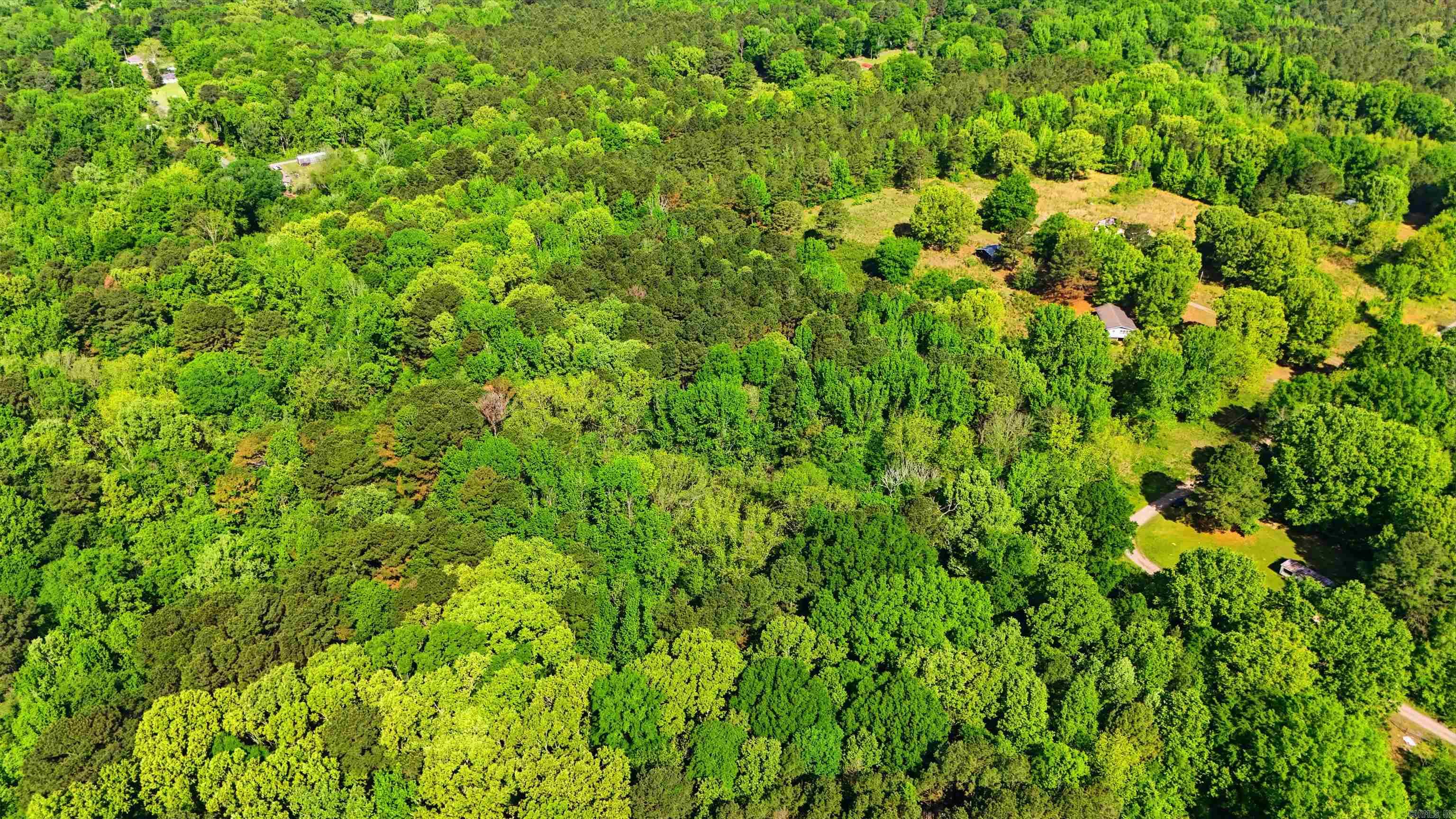 E Wilson  Little Rock, AR