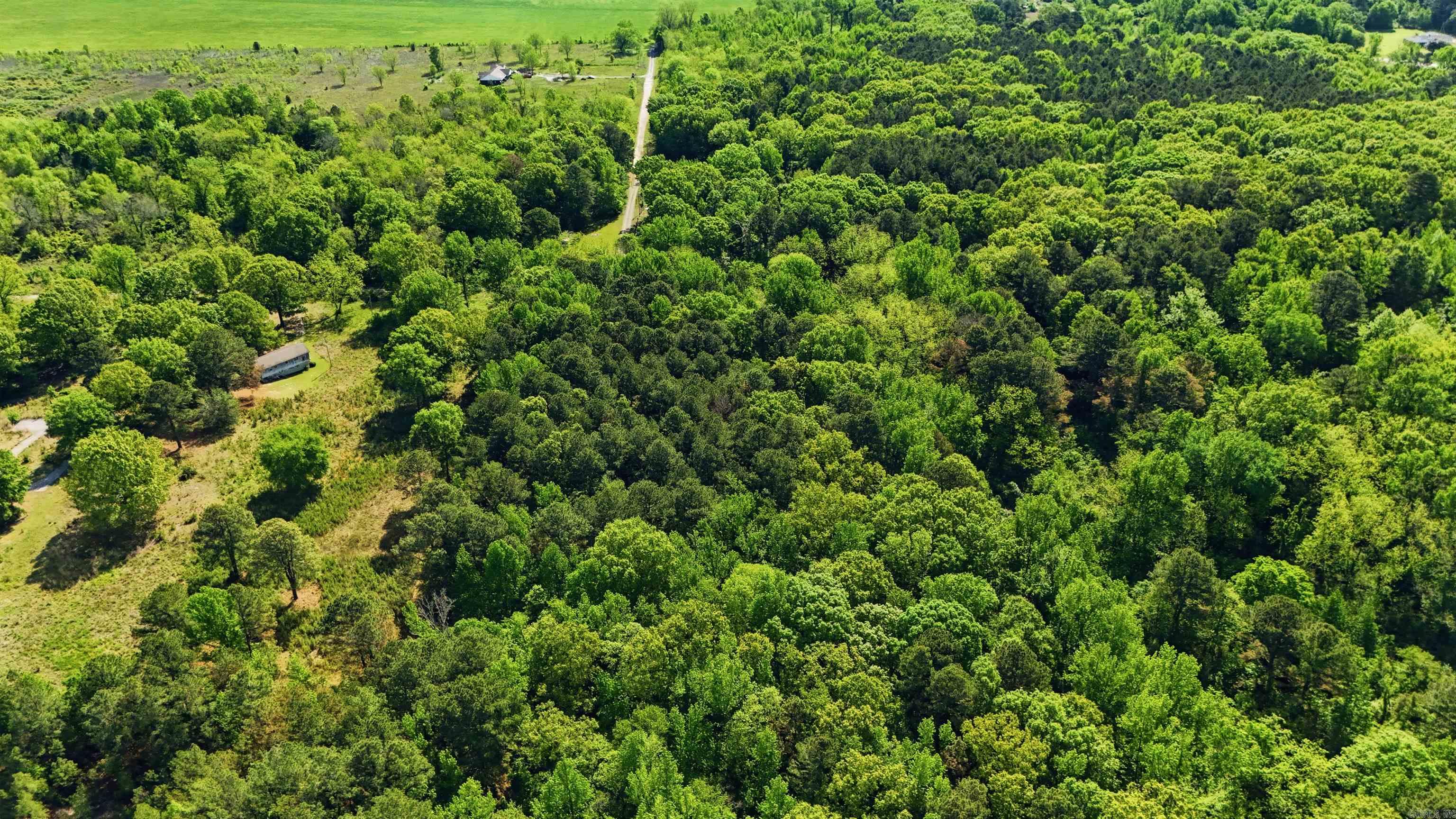 E Wilson  Little Rock, AR