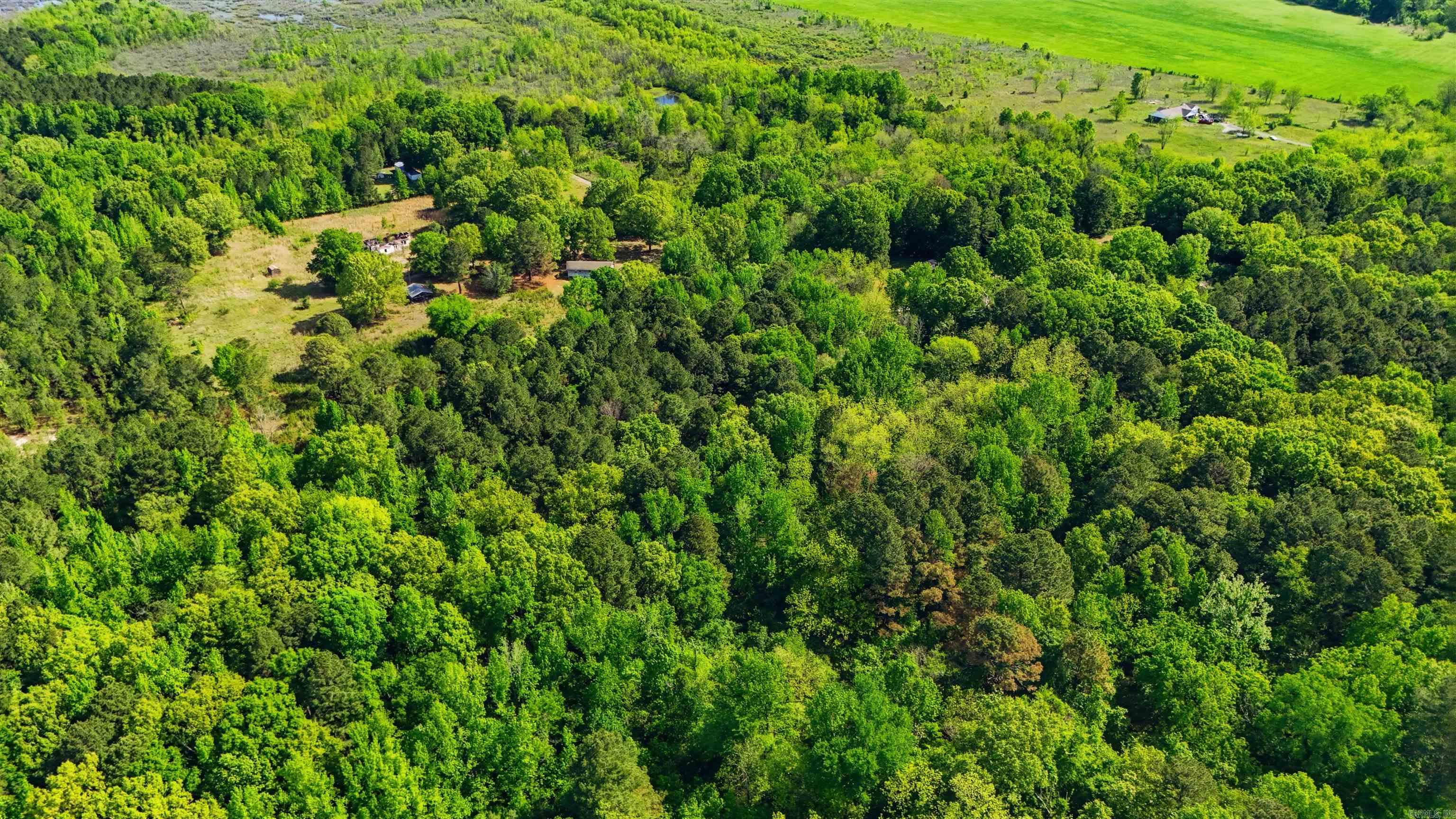 E Wilson  Little Rock, AR