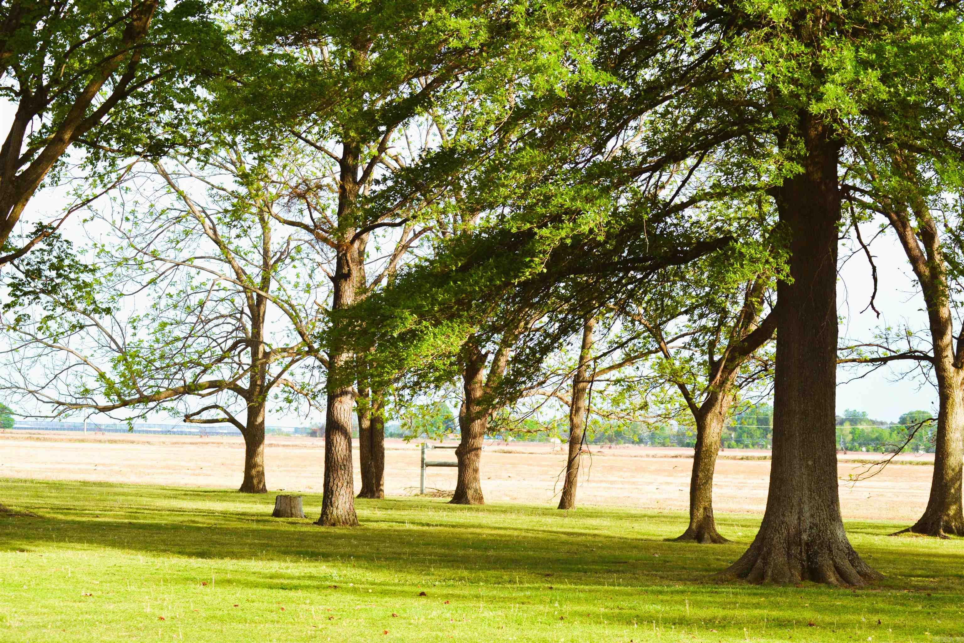 5978 N County Road 761  Blytheville, AR