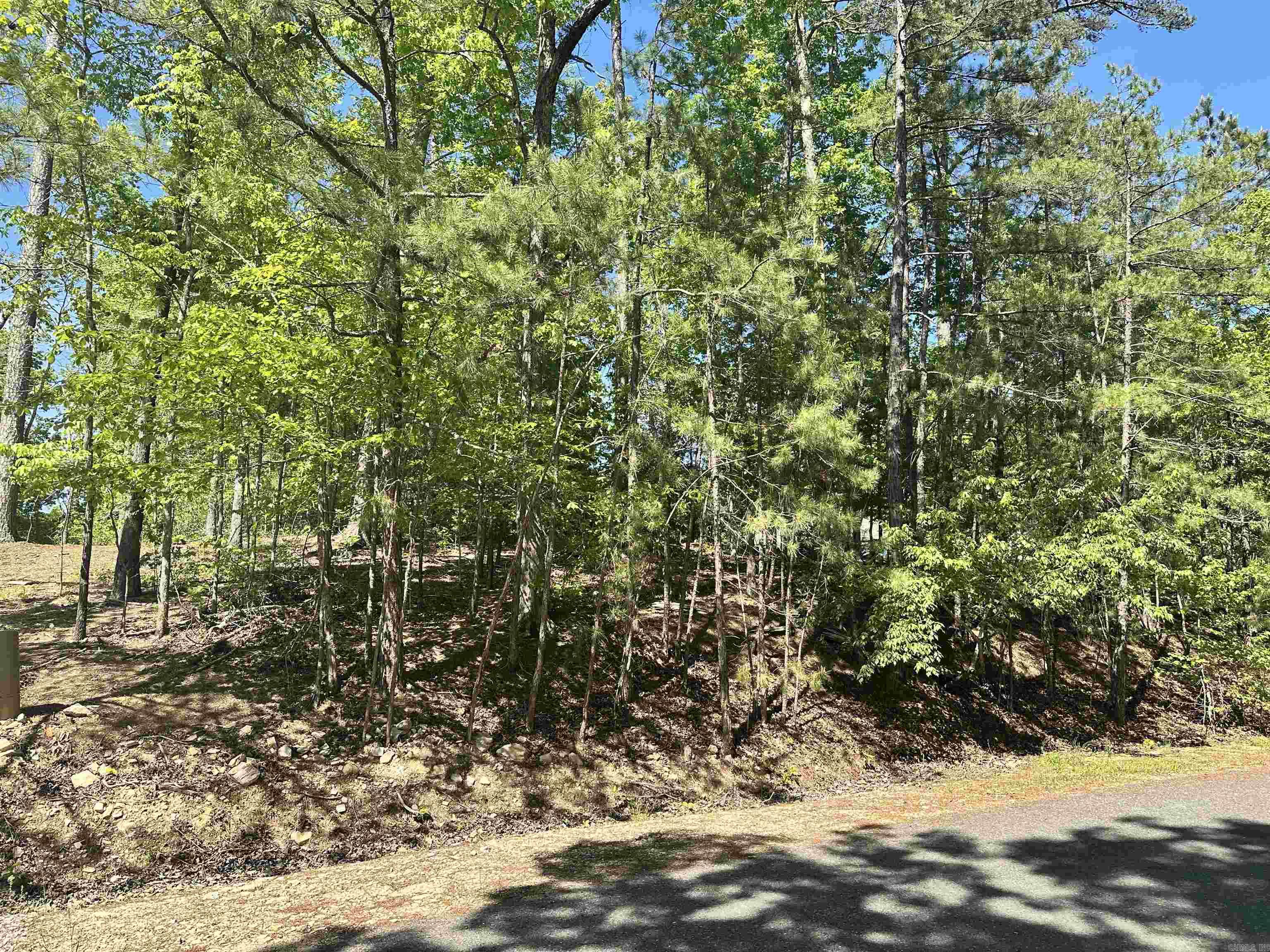 11 Archidona  Hot Springs Village, AR