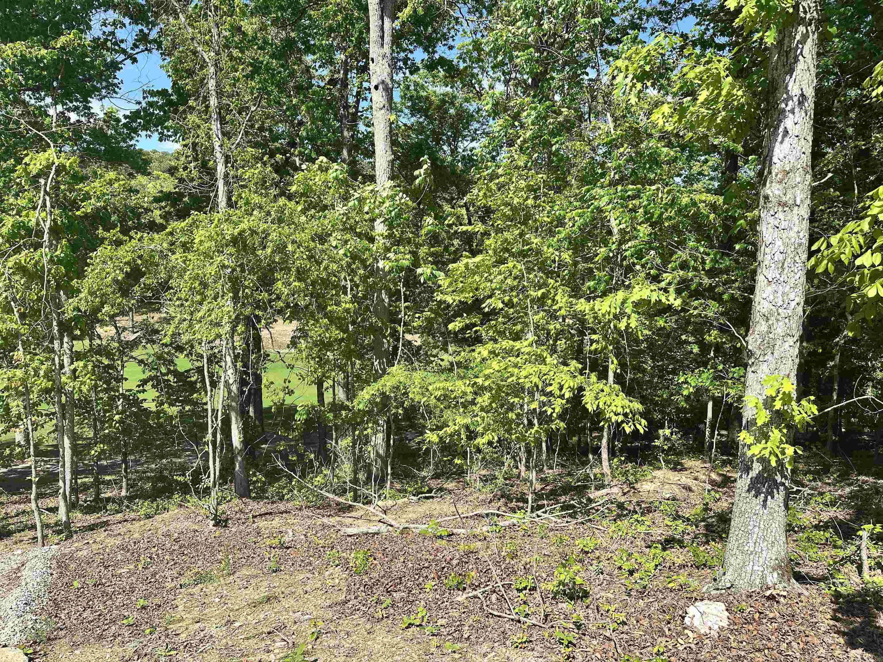 11 Archidona  Hot Springs Village, AR