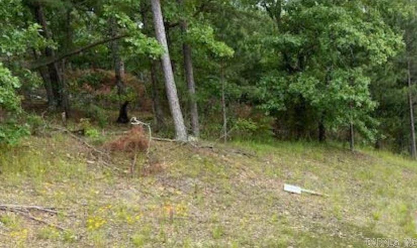 47 Saratoga  Little Rock, AR