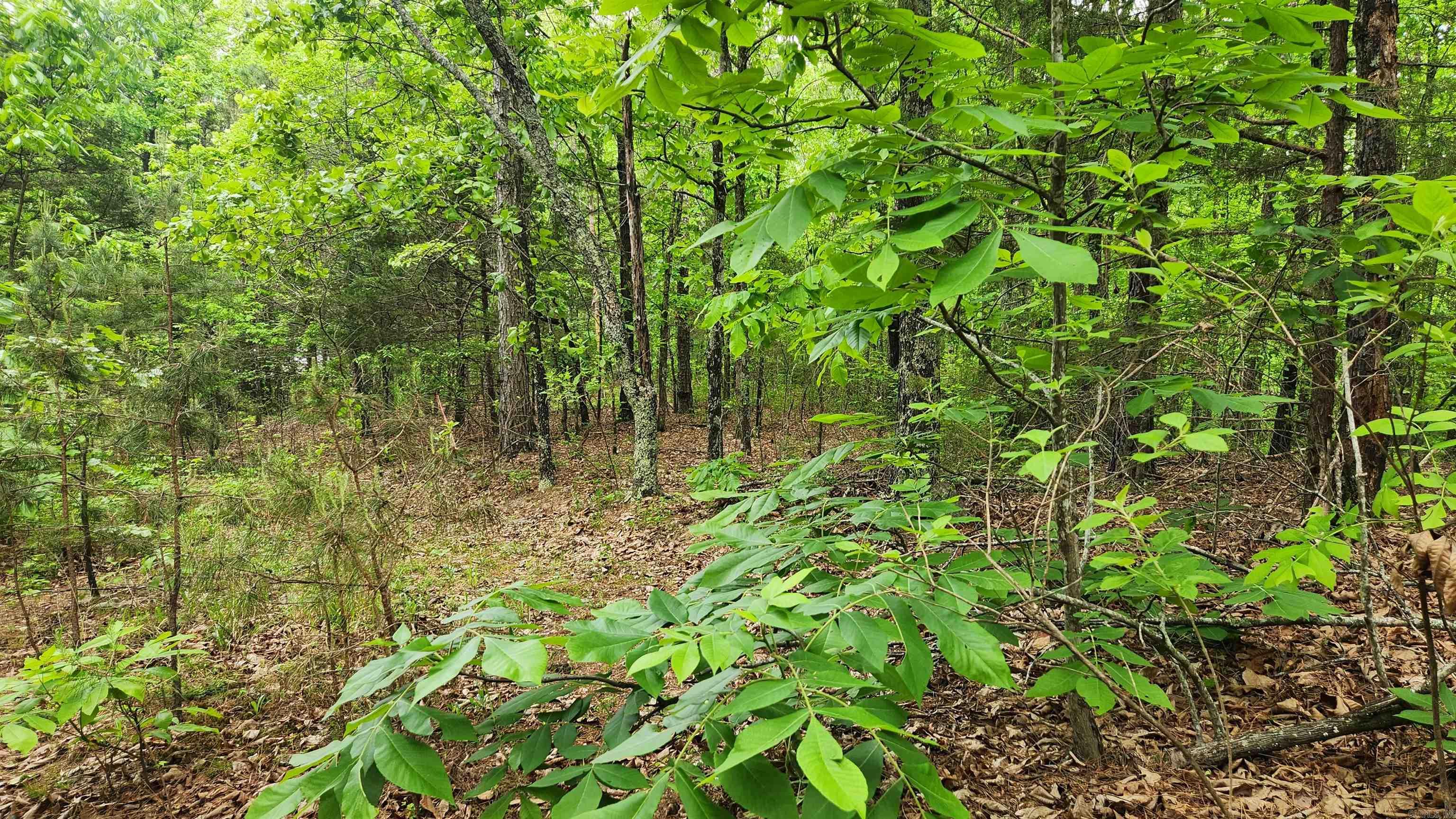 2014 W Highway 8  Norman, AR