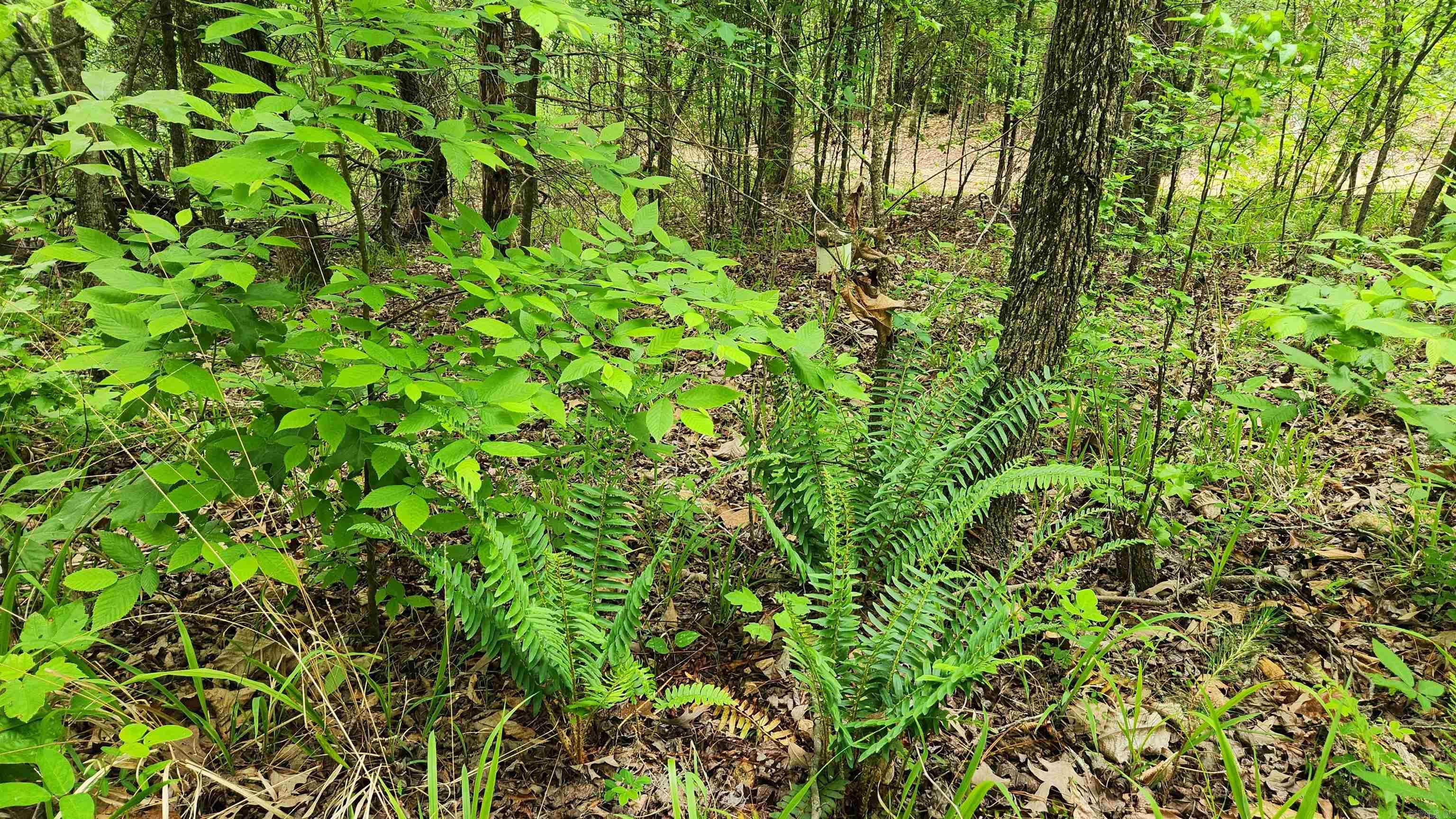 2014 W Highway 8  Norman, AR