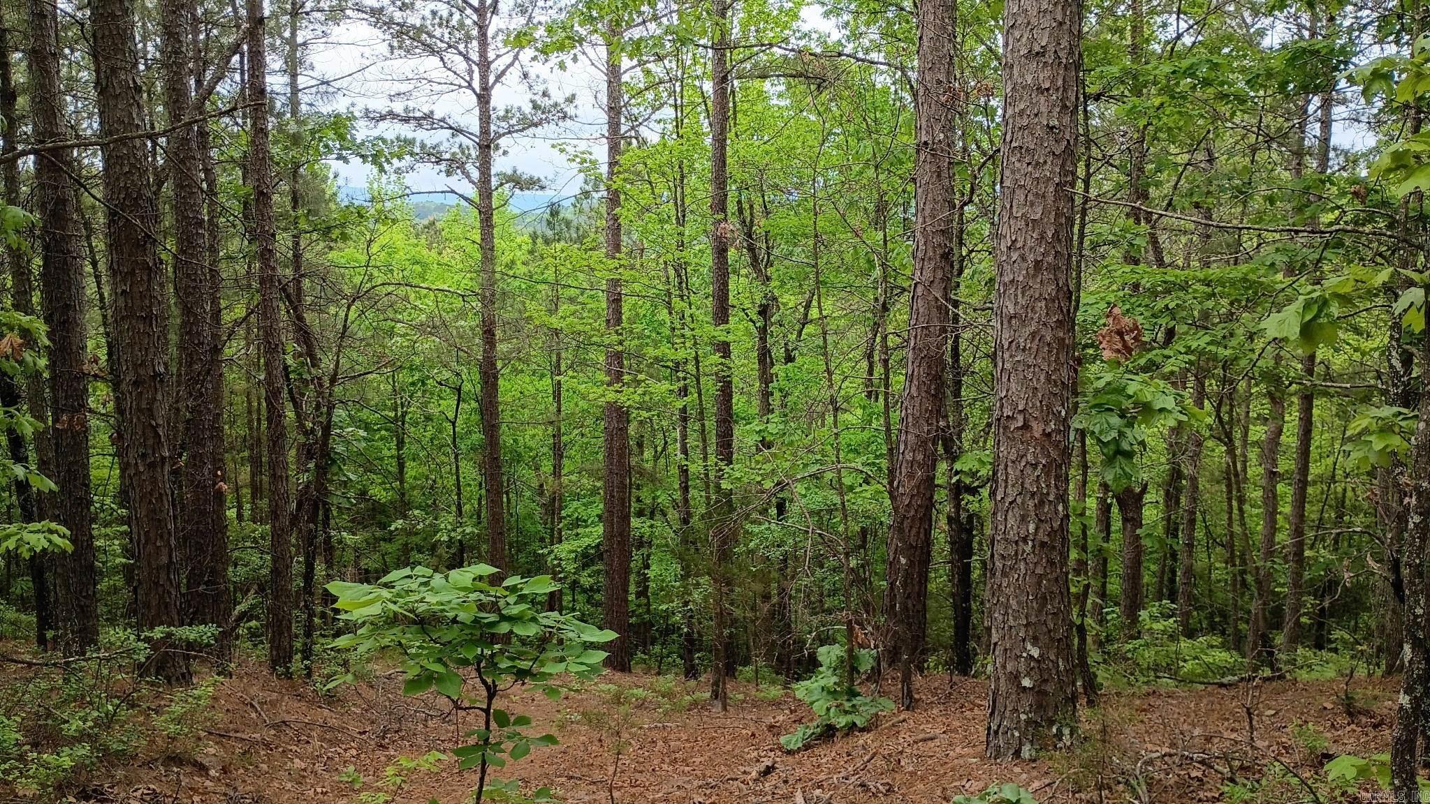 2014 W Highway 8  Norman, AR